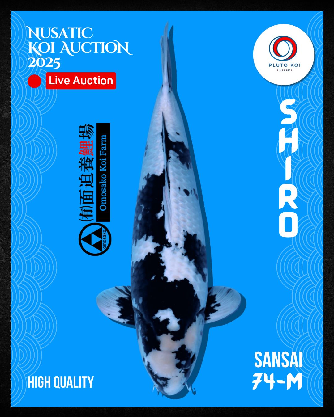 Lelang Koi Online, Jual Beli Ikan Koi, Pusat Jual Beli Koi, Info Lelang Koi Hari Ini, Platform Jual Beli Koi, Jual Beli Ikan Koi Online, Marketplace Ikan Koi, Jual Koi Terbaik, Tempat Beli Koi Berkualitas, Pasar Ikan Koi Online Terpercaya, Penjual Ikan Koi Terpercaya, Beli Koi Hias Online, Ikan Koi untuk Dijual, Koi Kualitas Terbaik, Toko Online Ikan Koi, Koi Hias Untuk Dijual, Jual Beli Ikan Koi Lokal, Koi Indonesia Online, Pusat Jual Beli Koi Terbesar