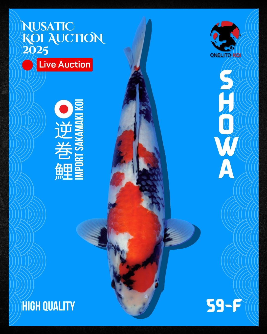 Lelang Koi Online, Jual Beli Ikan Koi, Pusat Jual Beli Koi, Info Lelang Koi Hari Ini, Platform Jual Beli Koi, Jual Beli Ikan Koi Online, Marketplace Ikan Koi, Jual Koi Terbaik, Tempat Beli Koi Berkualitas, Pasar Ikan Koi Online Terpercaya, Penjual Ikan Koi Terpercaya, Beli Koi Hias Online, Ikan Koi untuk Dijual, Koi Kualitas Terbaik, Toko Online Ikan Koi, Koi Hias Untuk Dijual, Jual Beli Ikan Koi Lokal, Koi Indonesia Online, Pusat Jual Beli Koi Terbesar
