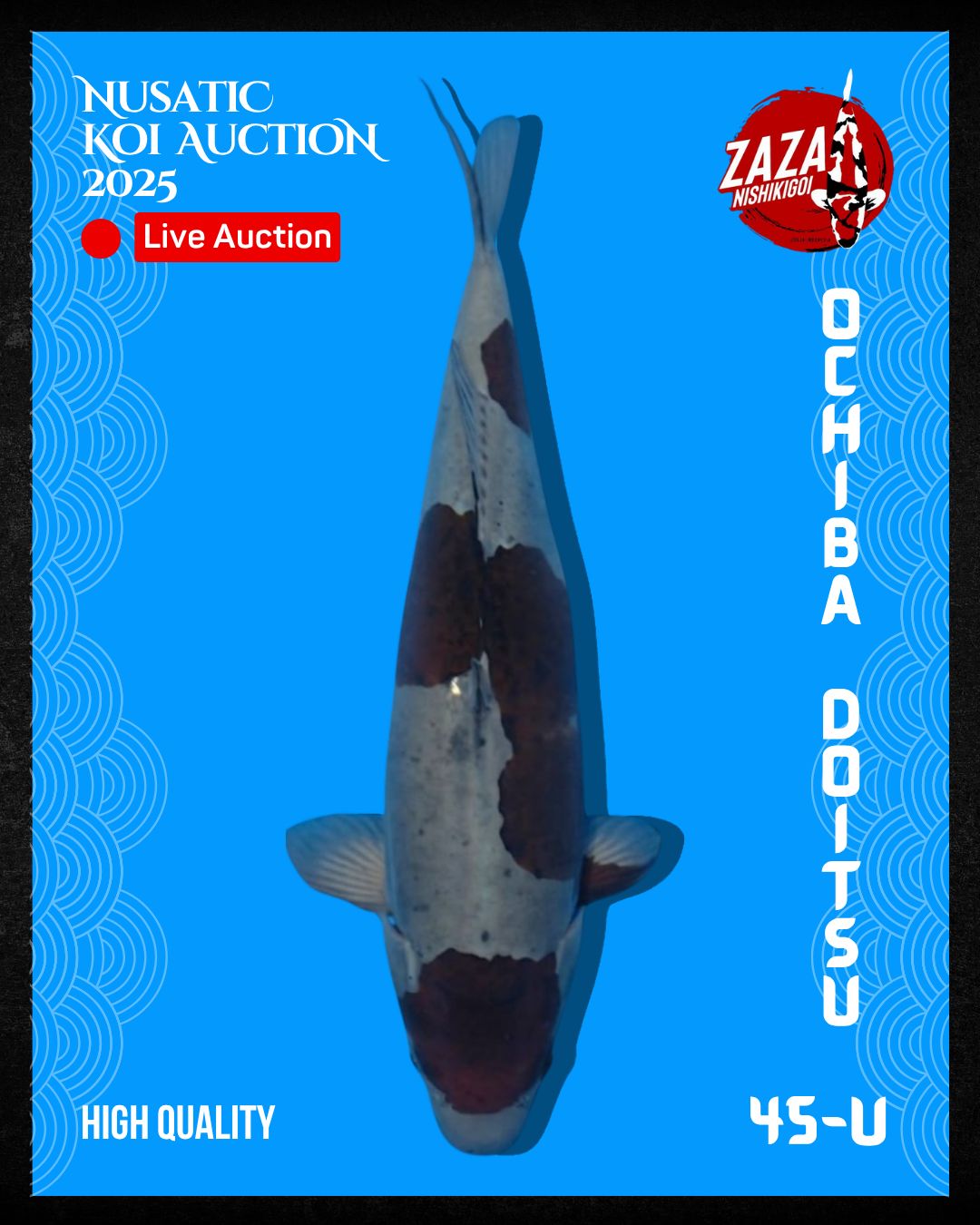 Lelang Koi Online, Jual Beli Ikan Koi, Pusat Jual Beli Koi, Info Lelang Koi Hari Ini, Platform Jual Beli Koi, Jual Beli Ikan Koi Online, Marketplace Ikan Koi, Jual Koi Terbaik, Tempat Beli Koi Berkualitas, Pasar Ikan Koi Online Terpercaya, Penjual Ikan Koi Terpercaya, Beli Koi Hias Online, Ikan Koi untuk Dijual, Koi Kualitas Terbaik, Toko Online Ikan Koi, Koi Hias Untuk Dijual, Jual Beli Ikan Koi Lokal, Koi Indonesia Online, Pusat Jual Beli Koi Terbesar