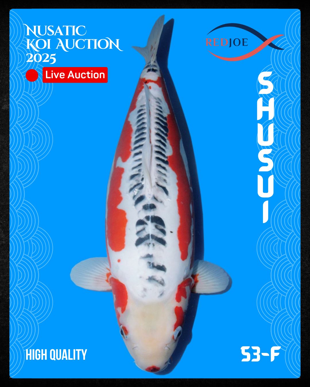 Lelang Koi Online, Jual Beli Ikan Koi, Pusat Jual Beli Koi, Info Lelang Koi Hari Ini, Platform Jual Beli Koi, Jual Beli Ikan Koi Online, Marketplace Ikan Koi, Jual Koi Terbaik, Tempat Beli Koi Berkualitas, Pasar Ikan Koi Online Terpercaya, Penjual Ikan Koi Terpercaya, Beli Koi Hias Online, Ikan Koi untuk Dijual, Koi Kualitas Terbaik, Toko Online Ikan Koi, Koi Hias Untuk Dijual, Jual Beli Ikan Koi Lokal, Koi Indonesia Online, Pusat Jual Beli Koi Terbesar