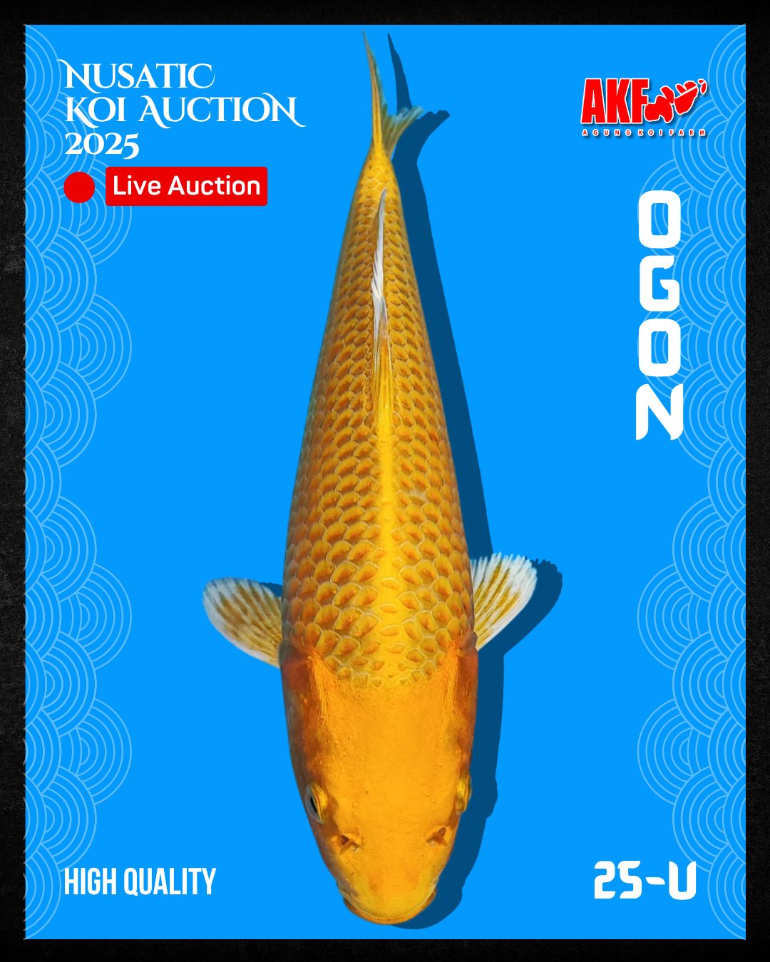 Lelang Koi Online, Jual Beli Ikan Koi, Pusat Jual Beli Koi, Info Lelang Koi Hari Ini, Platform Jual Beli Koi, Jual Beli Ikan Koi Online, Marketplace Ikan Koi, Jual Koi Terbaik, Tempat Beli Koi Berkualitas, Pasar Ikan Koi Online Terpercaya, Penjual Ikan Koi Terpercaya, Beli Koi Hias Online, Ikan Koi untuk Dijual, Koi Kualitas Terbaik, Toko Online Ikan Koi, Koi Hias Untuk Dijual, Jual Beli Ikan Koi Lokal, Koi Indonesia Online, Pusat Jual Beli Koi Terbesar