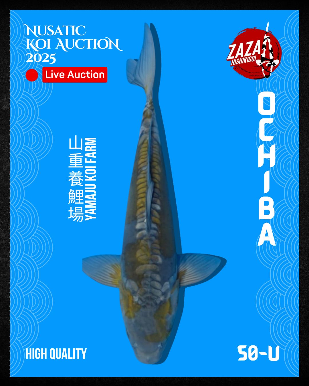 Lelang Koi Online, Jual Beli Ikan Koi, Pusat Jual Beli Koi, Info Lelang Koi Hari Ini, Platform Jual Beli Koi, Jual Beli Ikan Koi Online, Marketplace Ikan Koi, Jual Koi Terbaik, Tempat Beli Koi Berkualitas, Pasar Ikan Koi Online Terpercaya, Penjual Ikan Koi Terpercaya, Beli Koi Hias Online, Ikan Koi untuk Dijual, Koi Kualitas Terbaik, Toko Online Ikan Koi, Koi Hias Untuk Dijual, Jual Beli Ikan Koi Lokal, Koi Indonesia Online, Pusat Jual Beli Koi Terbesar