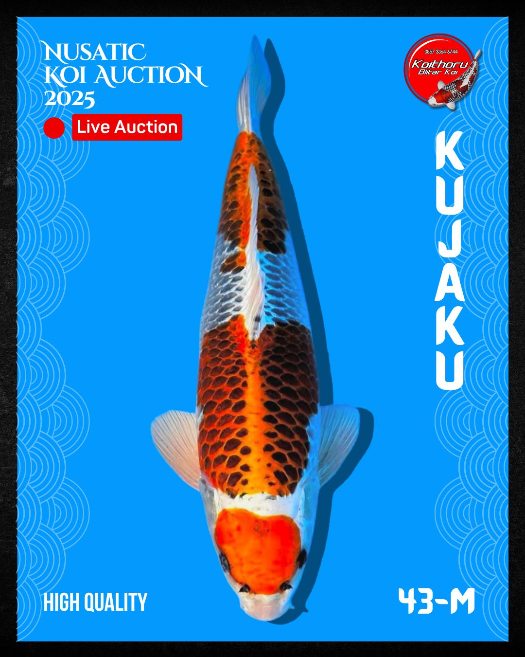 Lelang Koi Online, Jual Beli Ikan Koi, Pusat Jual Beli Koi, Info Lelang Koi Hari Ini, Platform Jual Beli Koi, Jual Beli Ikan Koi Online, Marketplace Ikan Koi, Jual Koi Terbaik, Tempat Beli Koi Berkualitas, Pasar Ikan Koi Online Terpercaya, Penjual Ikan Koi Terpercaya, Beli Koi Hias Online, Ikan Koi untuk Dijual, Koi Kualitas Terbaik, Toko Online Ikan Koi, Koi Hias Untuk Dijual, Jual Beli Ikan Koi Lokal, Koi Indonesia Online, Pusat Jual Beli Koi Terbesar