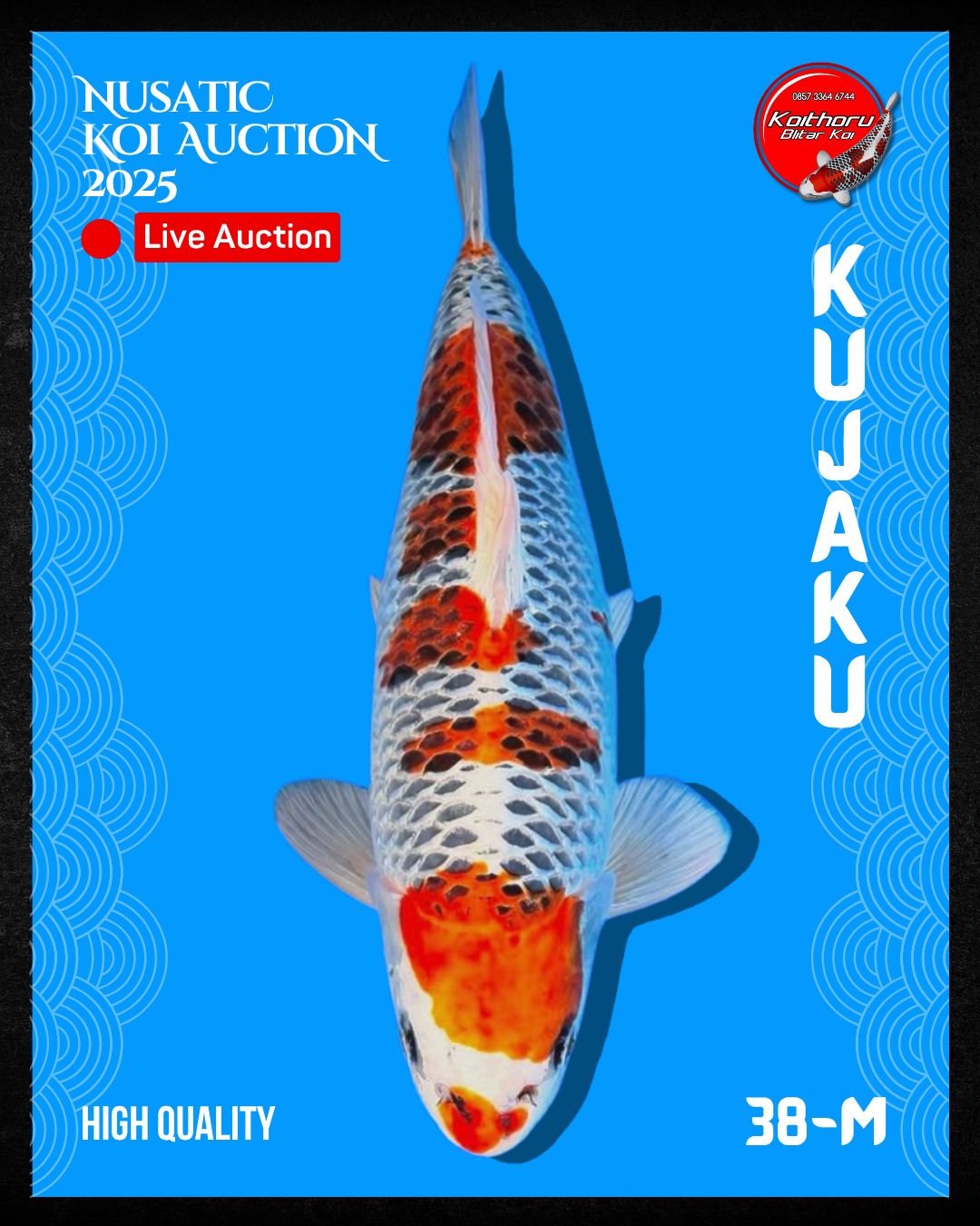 Lelang Koi Online, Jual Beli Ikan Koi, Pusat Jual Beli Koi, Info Lelang Koi Hari Ini, Platform Jual Beli Koi, Jual Beli Ikan Koi Online, Marketplace Ikan Koi, Jual Koi Terbaik, Tempat Beli Koi Berkualitas, Pasar Ikan Koi Online Terpercaya, Penjual Ikan Koi Terpercaya, Beli Koi Hias Online, Ikan Koi untuk Dijual, Koi Kualitas Terbaik, Toko Online Ikan Koi, Koi Hias Untuk Dijual, Jual Beli Ikan Koi Lokal, Koi Indonesia Online, Pusat Jual Beli Koi Terbesar