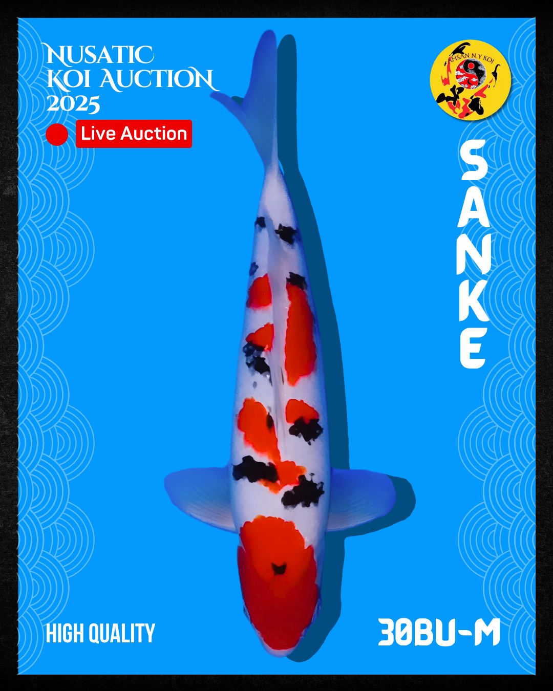 Lelang Koi Online, Jual Beli Ikan Koi, Pusat Jual Beli Koi, Info Lelang Koi Hari Ini, Platform Jual Beli Koi, Jual Beli Ikan Koi Online, Marketplace Ikan Koi, Jual Koi Terbaik, Tempat Beli Koi Berkualitas, Pasar Ikan Koi Online Terpercaya, Penjual Ikan Koi Terpercaya, Beli Koi Hias Online, Ikan Koi untuk Dijual, Koi Kualitas Terbaik, Toko Online Ikan Koi, Koi Hias Untuk Dijual, Jual Beli Ikan Koi Lokal, Koi Indonesia Online, Pusat Jual Beli Koi Terbesar