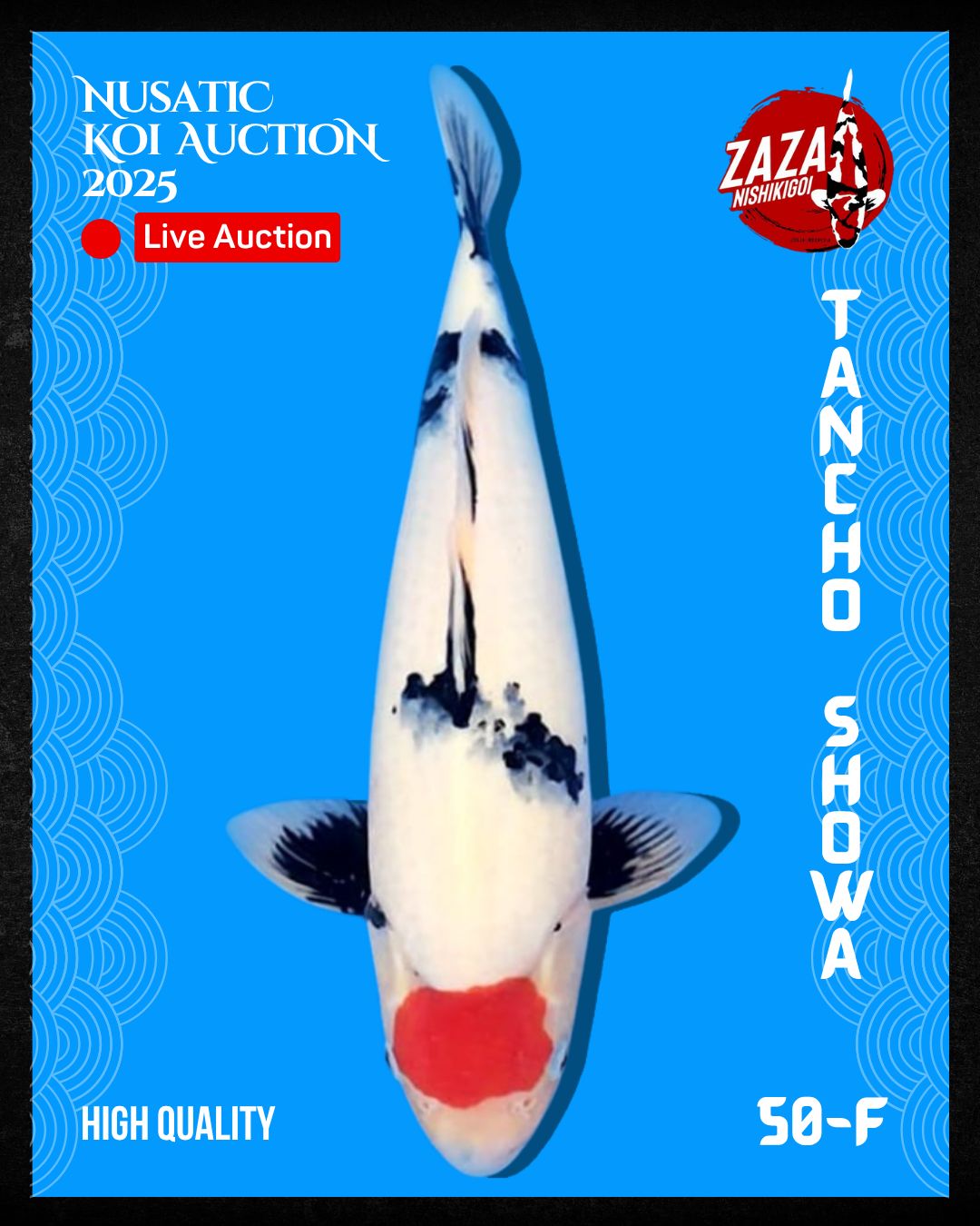 Lelang Koi Online, Jual Beli Ikan Koi, Pusat Jual Beli Koi, Info Lelang Koi Hari Ini, Platform Jual Beli Koi, Jual Beli Ikan Koi Online, Marketplace Ikan Koi, Jual Koi Terbaik, Tempat Beli Koi Berkualitas, Pasar Ikan Koi Online Terpercaya, Penjual Ikan Koi Terpercaya, Beli Koi Hias Online, Ikan Koi untuk Dijual, Koi Kualitas Terbaik, Toko Online Ikan Koi, Koi Hias Untuk Dijual, Jual Beli Ikan Koi Lokal, Koi Indonesia Online, Pusat Jual Beli Koi Terbesar