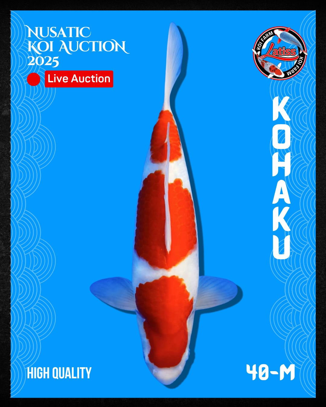 Lelang Koi Online, Jual Beli Ikan Koi, Pusat Jual Beli Koi, Info Lelang Koi Hari Ini, Platform Jual Beli Koi, Jual Beli Ikan Koi Online, Marketplace Ikan Koi, Jual Koi Terbaik, Tempat Beli Koi Berkualitas, Pasar Ikan Koi Online Terpercaya, Penjual Ikan Koi Terpercaya, Beli Koi Hias Online, Ikan Koi untuk Dijual, Koi Kualitas Terbaik, Toko Online Ikan Koi, Koi Hias Untuk Dijual, Jual Beli Ikan Koi Lokal, Koi Indonesia Online, Pusat Jual Beli Koi Terbesar