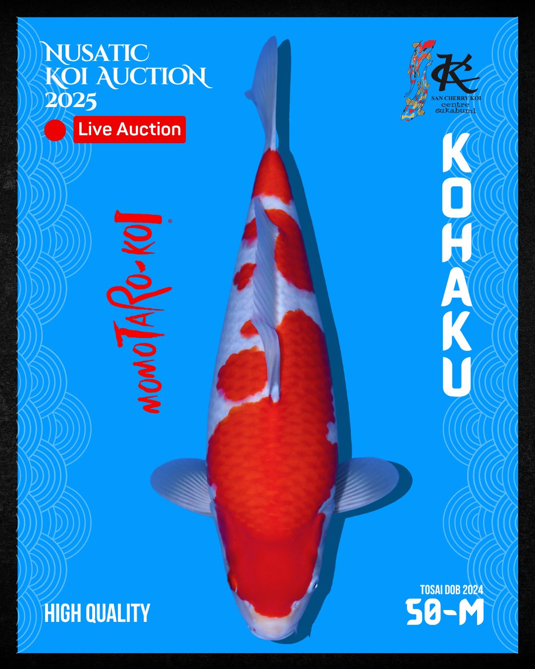 Lelang Koi Online, Jual Beli Ikan Koi, Pusat Jual Beli Koi, Info Lelang Koi Hari Ini, Platform Jual Beli Koi, Jual Beli Ikan Koi Online, Marketplace Ikan Koi, Jual Koi Terbaik, Tempat Beli Koi Berkualitas, Pasar Ikan Koi Online Terpercaya, Penjual Ikan Koi Terpercaya, Beli Koi Hias Online, Ikan Koi untuk Dijual, Koi Kualitas Terbaik, Toko Online Ikan Koi, Koi Hias Untuk Dijual, Jual Beli Ikan Koi Lokal, Koi Indonesia Online, Pusat Jual Beli Koi Terbesar