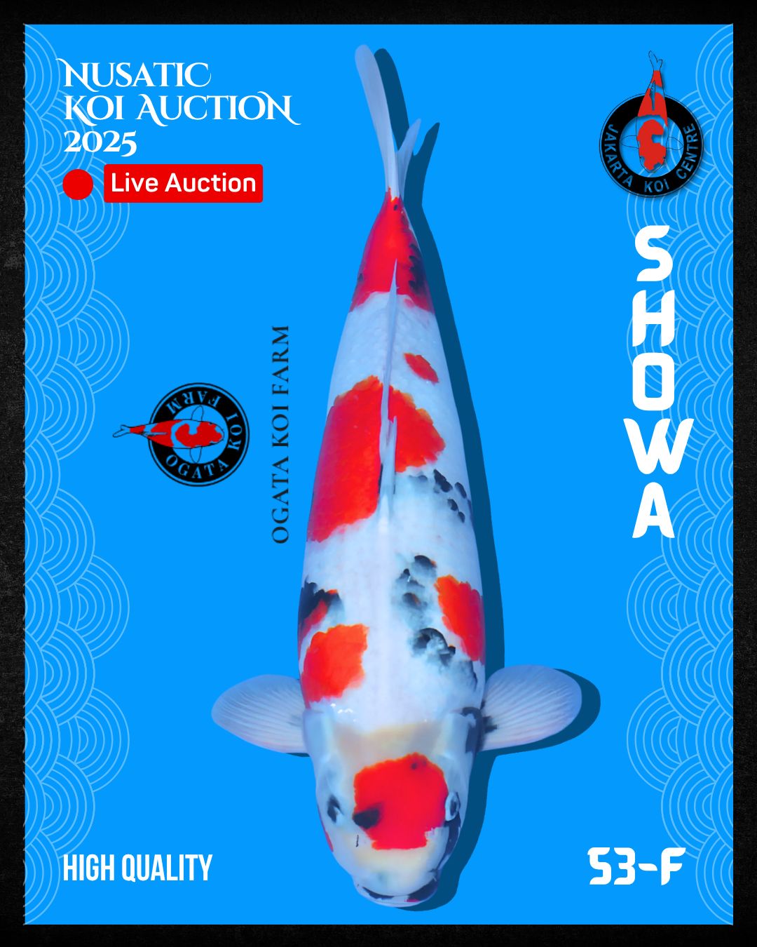 Lelang Koi Online, Jual Beli Ikan Koi, Pusat Jual Beli Koi, Info Lelang Koi Hari Ini, Platform Jual Beli Koi, Jual Beli Ikan Koi Online, Marketplace Ikan Koi, Jual Koi Terbaik, Tempat Beli Koi Berkualitas, Pasar Ikan Koi Online Terpercaya, Penjual Ikan Koi Terpercaya, Beli Koi Hias Online, Ikan Koi untuk Dijual, Koi Kualitas Terbaik, Toko Online Ikan Koi, Koi Hias Untuk Dijual, Jual Beli Ikan Koi Lokal, Koi Indonesia Online, Pusat Jual Beli Koi Terbesar