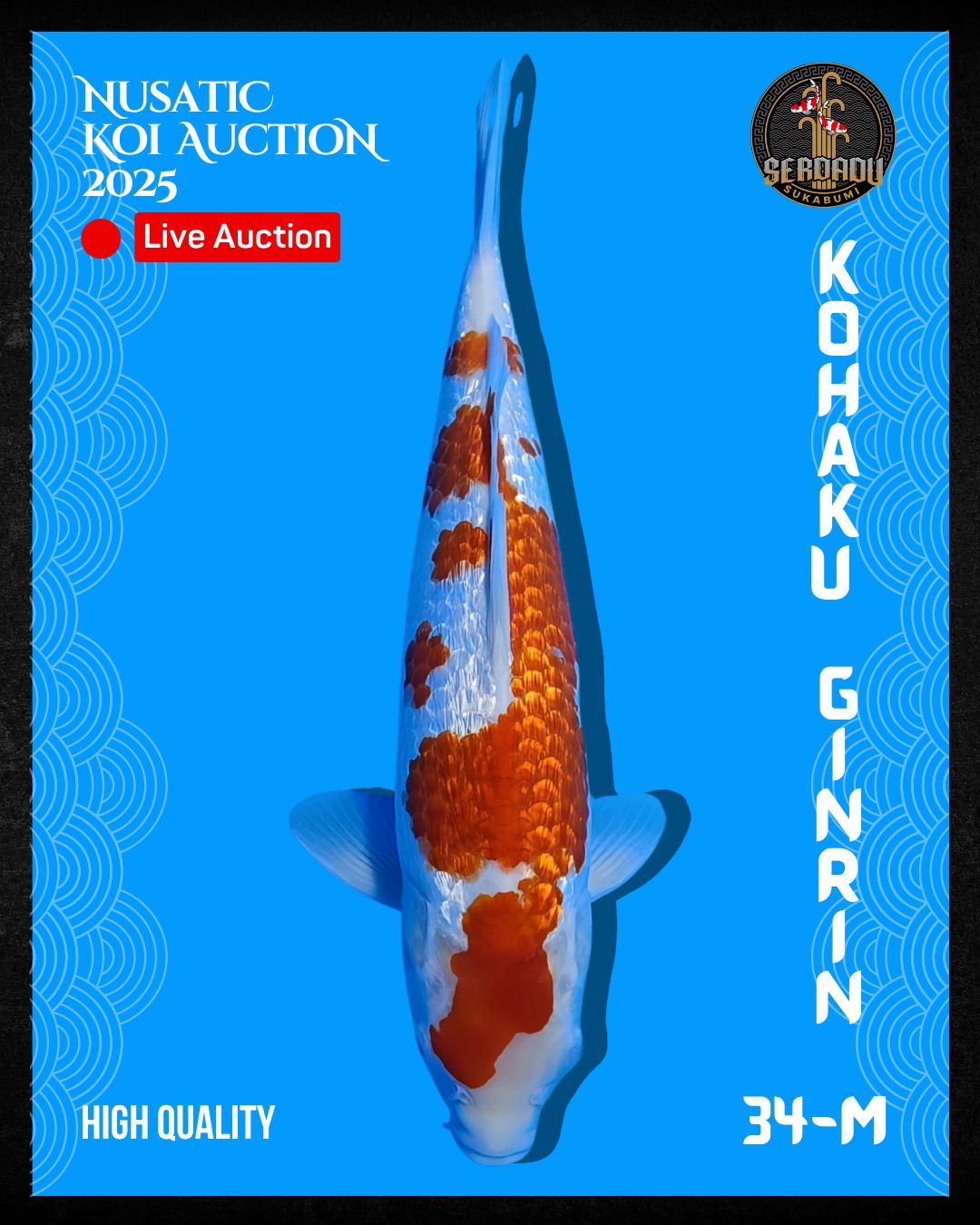 Lelang Koi Online, Jual Beli Ikan Koi, Pusat Jual Beli Koi, Info Lelang Koi Hari Ini, Platform Jual Beli Koi, Jual Beli Ikan Koi Online, Marketplace Ikan Koi, Jual Koi Terbaik, Tempat Beli Koi Berkualitas, Pasar Ikan Koi Online Terpercaya, Penjual Ikan Koi Terpercaya, Beli Koi Hias Online, Ikan Koi untuk Dijual, Koi Kualitas Terbaik, Toko Online Ikan Koi, Koi Hias Untuk Dijual, Jual Beli Ikan Koi Lokal, Koi Indonesia Online, Pusat Jual Beli Koi Terbesar