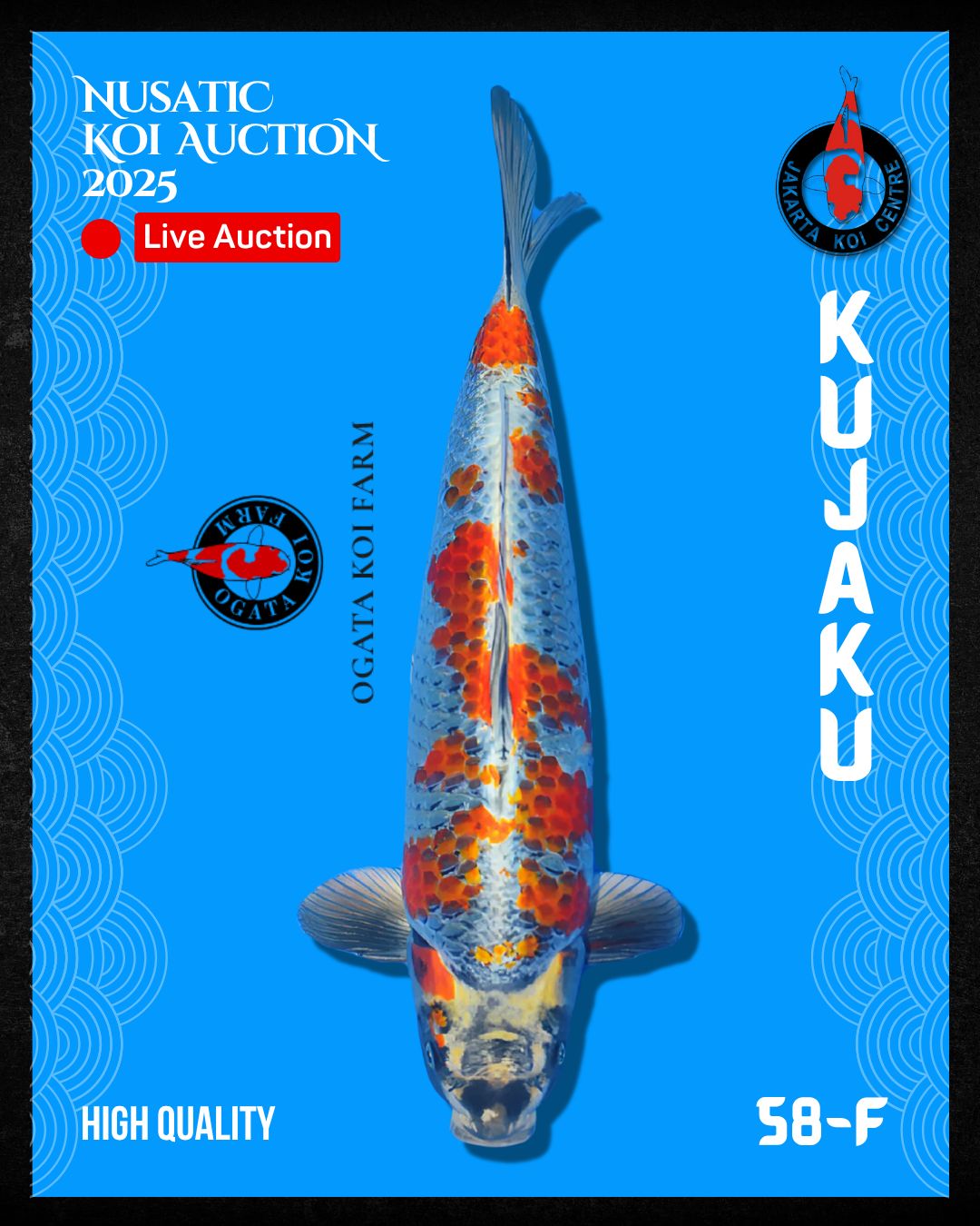 Lelang Koi Online, Jual Beli Ikan Koi, Pusat Jual Beli Koi, Info Lelang Koi Hari Ini, Platform Jual Beli Koi, Jual Beli Ikan Koi Online, Marketplace Ikan Koi, Jual Koi Terbaik, Tempat Beli Koi Berkualitas, Pasar Ikan Koi Online Terpercaya, Penjual Ikan Koi Terpercaya, Beli Koi Hias Online, Ikan Koi untuk Dijual, Koi Kualitas Terbaik, Toko Online Ikan Koi, Koi Hias Untuk Dijual, Jual Beli Ikan Koi Lokal, Koi Indonesia Online, Pusat Jual Beli Koi Terbesar
