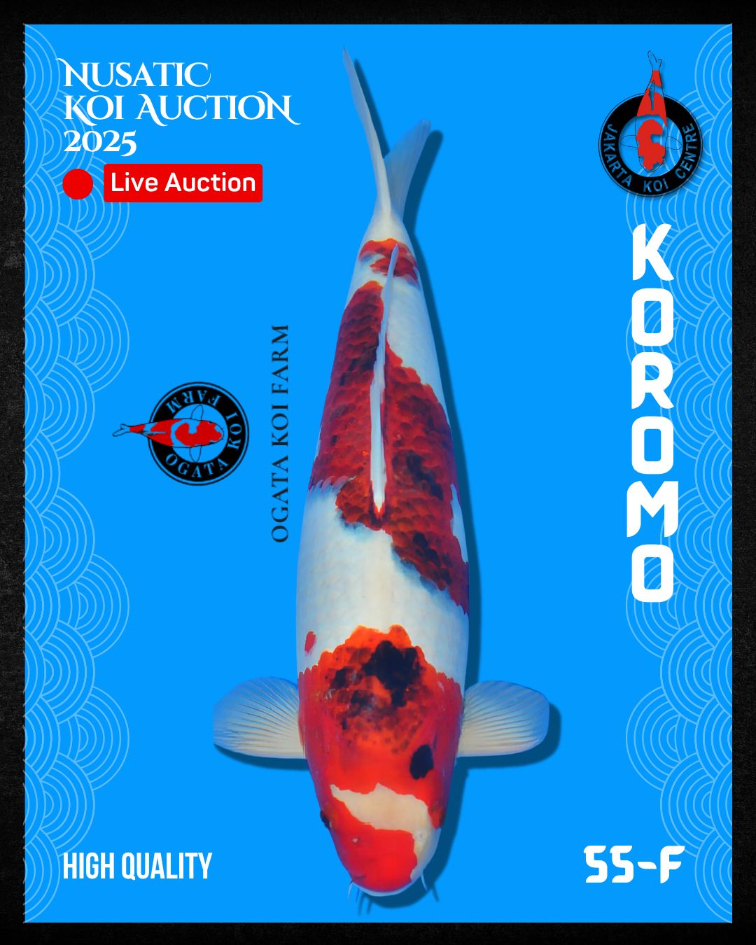 Lelang Koi Online, Jual Beli Ikan Koi, Pusat Jual Beli Koi, Info Lelang Koi Hari Ini, Platform Jual Beli Koi, Jual Beli Ikan Koi Online, Marketplace Ikan Koi, Jual Koi Terbaik, Tempat Beli Koi Berkualitas, Pasar Ikan Koi Online Terpercaya, Penjual Ikan Koi Terpercaya, Beli Koi Hias Online, Ikan Koi untuk Dijual, Koi Kualitas Terbaik, Toko Online Ikan Koi, Koi Hias Untuk Dijual, Jual Beli Ikan Koi Lokal, Koi Indonesia Online, Pusat Jual Beli Koi Terbesar