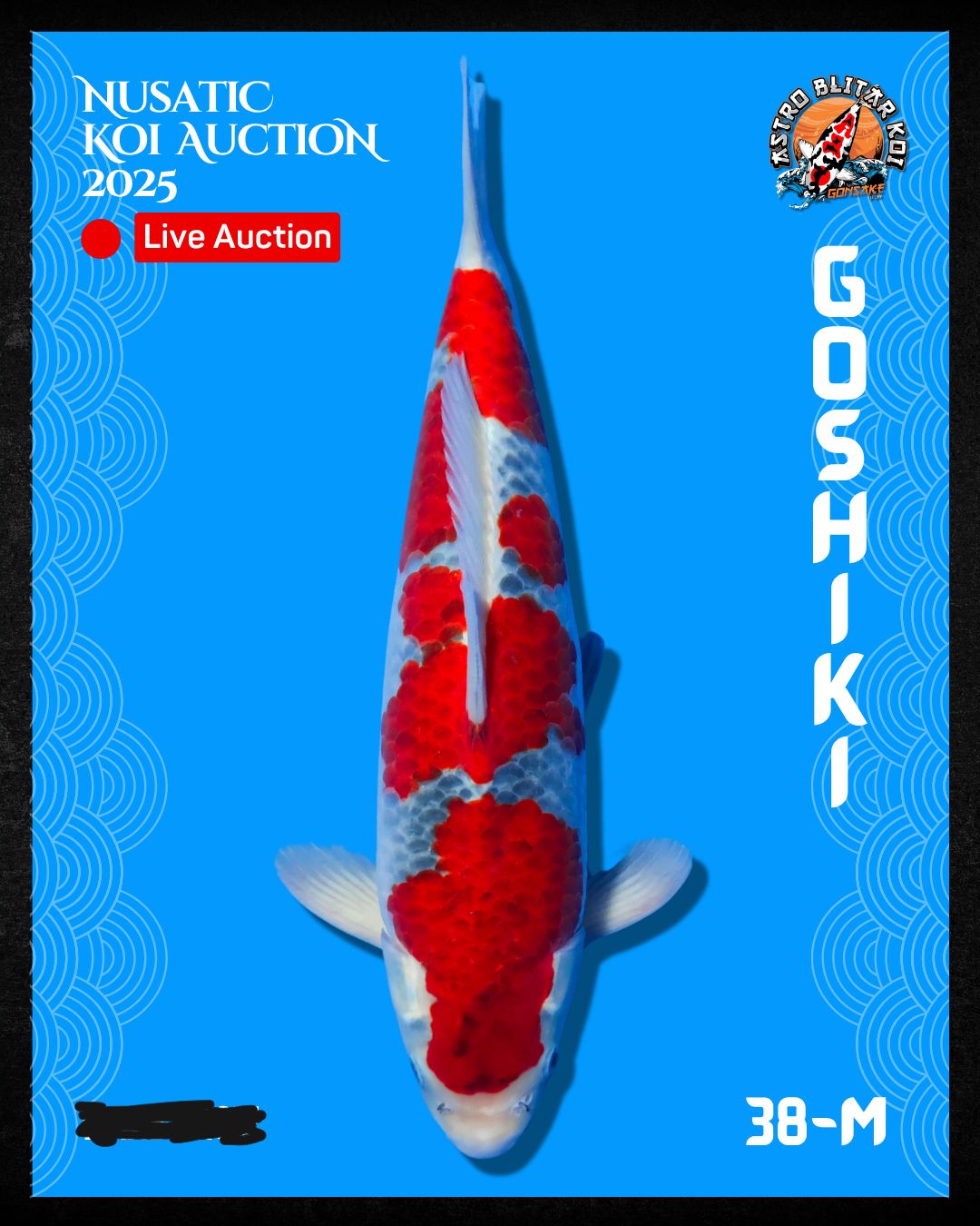 Lelang Koi Online, Jual Beli Ikan Koi, Pusat Jual Beli Koi, Info Lelang Koi Hari Ini, Platform Jual Beli Koi, Jual Beli Ikan Koi Online, Marketplace Ikan Koi, Jual Koi Terbaik, Tempat Beli Koi Berkualitas, Pasar Ikan Koi Online Terpercaya, Penjual Ikan Koi Terpercaya, Beli Koi Hias Online, Ikan Koi untuk Dijual, Koi Kualitas Terbaik, Toko Online Ikan Koi, Koi Hias Untuk Dijual, Jual Beli Ikan Koi Lokal, Koi Indonesia Online, Pusat Jual Beli Koi Terbesar