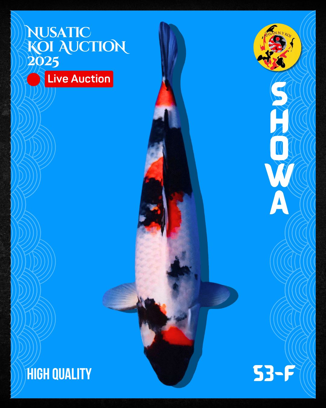 Lelang Koi Online, Jual Beli Ikan Koi, Pusat Jual Beli Koi, Info Lelang Koi Hari Ini, Platform Jual Beli Koi, Jual Beli Ikan Koi Online, Marketplace Ikan Koi, Jual Koi Terbaik, Tempat Beli Koi Berkualitas, Pasar Ikan Koi Online Terpercaya, Penjual Ikan Koi Terpercaya, Beli Koi Hias Online, Ikan Koi untuk Dijual, Koi Kualitas Terbaik, Toko Online Ikan Koi, Koi Hias Untuk Dijual, Jual Beli Ikan Koi Lokal, Koi Indonesia Online, Pusat Jual Beli Koi Terbesar
