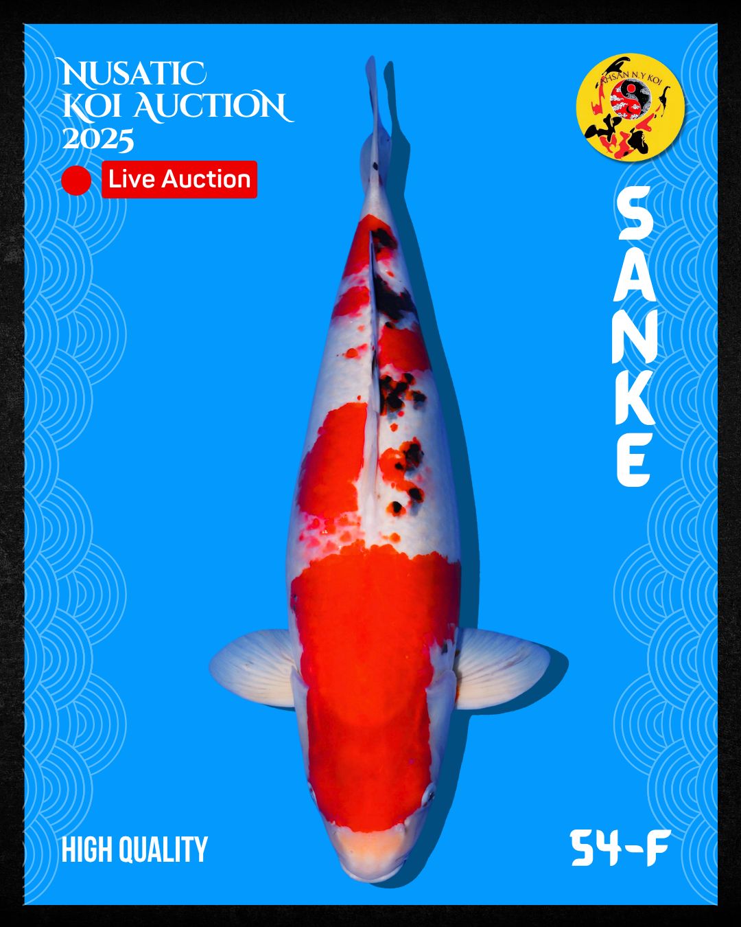 Lelang Koi Online, Jual Beli Ikan Koi, Pusat Jual Beli Koi, Info Lelang Koi Hari Ini, Platform Jual Beli Koi, Jual Beli Ikan Koi Online, Marketplace Ikan Koi, Jual Koi Terbaik, Tempat Beli Koi Berkualitas, Pasar Ikan Koi Online Terpercaya, Penjual Ikan Koi Terpercaya, Beli Koi Hias Online, Ikan Koi untuk Dijual, Koi Kualitas Terbaik, Toko Online Ikan Koi, Koi Hias Untuk Dijual, Jual Beli Ikan Koi Lokal, Koi Indonesia Online, Pusat Jual Beli Koi Terbesar