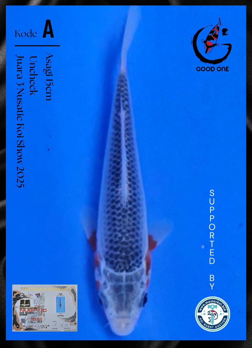 Lelang Koi Online, Jual Beli Ikan Koi, Pusat Jual Beli Koi, Info Lelang Koi Hari Ini, Platform Jual Beli Koi, Jual Beli Ikan Koi Online, Marketplace Ikan Koi, Jual Koi Terbaik, Tempat Beli Koi Berkualitas, Pasar Ikan Koi Online Terpercaya, Penjual Ikan Koi Terpercaya, Beli Koi Hias Online, Ikan Koi untuk Dijual, Koi Kualitas Terbaik, Toko Online Ikan Koi, Koi Hias Untuk Dijual, Jual Beli Ikan Koi Lokal, Koi Indonesia Online, Pusat Jual Beli Koi Terbesar