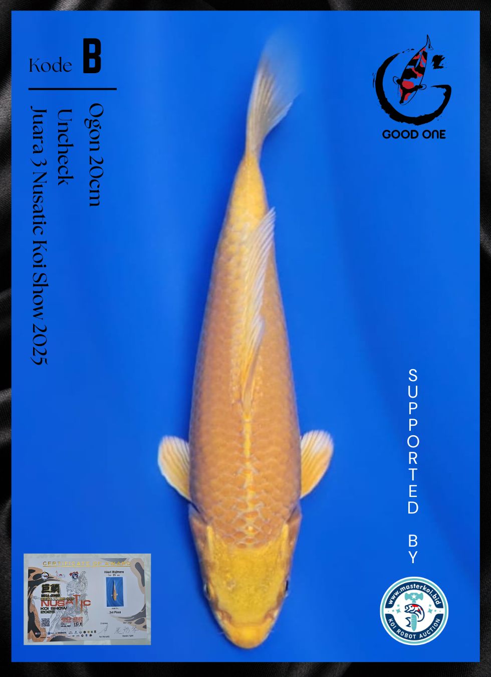 Lelang Koi Online, Jual Beli Ikan Koi, Pusat Jual Beli Koi, Info Lelang Koi Hari Ini, Platform Jual Beli Koi, Jual Beli Ikan Koi Online, Marketplace Ikan Koi, Jual Koi Terbaik, Tempat Beli Koi Berkualitas, Pasar Ikan Koi Online Terpercaya, Penjual Ikan Koi Terpercaya, Beli Koi Hias Online, Ikan Koi untuk Dijual, Koi Kualitas Terbaik, Toko Online Ikan Koi, Koi Hias Untuk Dijual, Jual Beli Ikan Koi Lokal, Koi Indonesia Online, Pusat Jual Beli Koi Terbesar