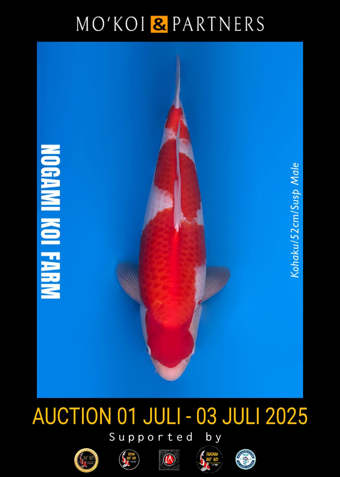 Lelang Koi Online, Jual Beli Ikan Koi, Pusat Jual Beli Koi, Info Lelang Koi Hari Ini, Platform Jual Beli Koi, Jual Beli Ikan Koi Online, Marketplace Ikan Koi, Jual Koi Terbaik, Tempat Beli Koi Berkualitas, Pasar Ikan Koi Online Terpercaya, Penjual Ikan Koi Terpercaya, Beli Koi Hias Online, Ikan Koi untuk Dijual, Koi Kualitas Terbaik, Toko Online Ikan Koi, Koi Hias Untuk Dijual, Jual Beli Ikan Koi Lokal, Koi Indonesia Online, Pusat Jual Beli Koi Terbesar