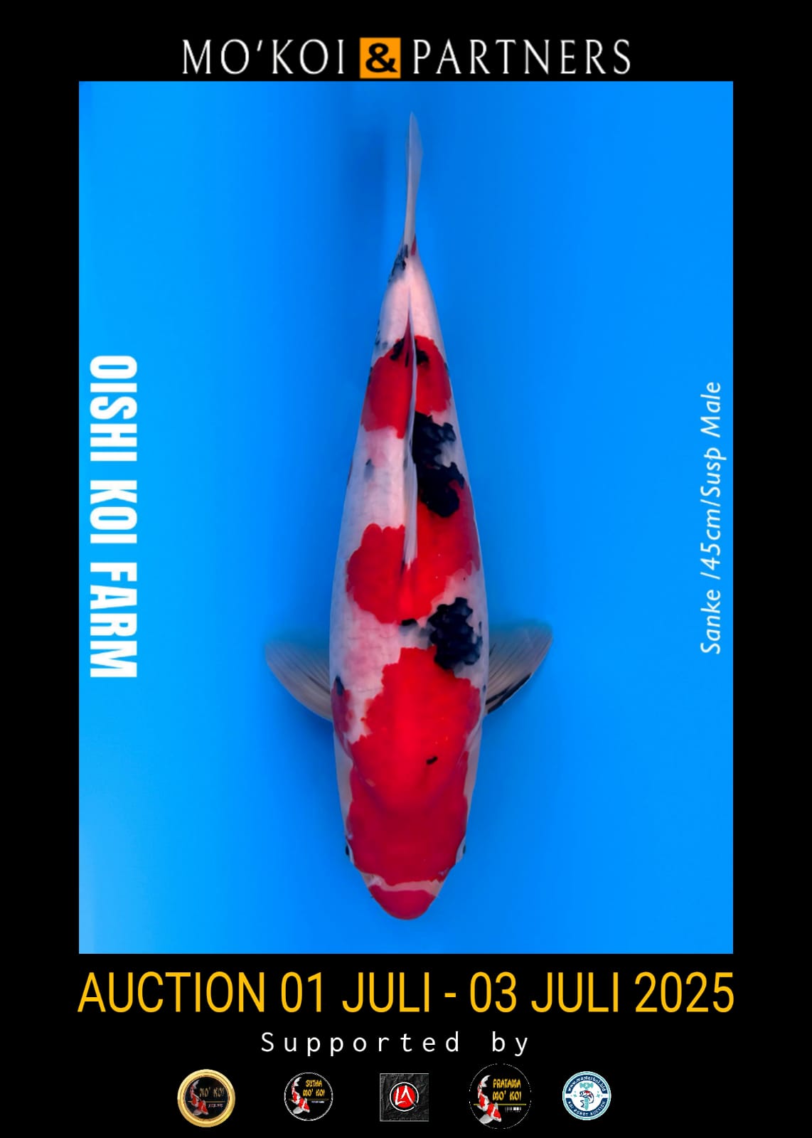 Lelang Koi Online, Jual Beli Ikan Koi, Pusat Jual Beli Koi, Info Lelang Koi Hari Ini, Platform Jual Beli Koi, Jual Beli Ikan Koi Online, Marketplace Ikan Koi, Jual Koi Terbaik, Tempat Beli Koi Berkualitas, Pasar Ikan Koi Online Terpercaya, Penjual Ikan Koi Terpercaya, Beli Koi Hias Online, Ikan Koi untuk Dijual, Koi Kualitas Terbaik, Toko Online Ikan Koi, Koi Hias Untuk Dijual, Jual Beli Ikan Koi Lokal, Koi Indonesia Online, Pusat Jual Beli Koi Terbesar