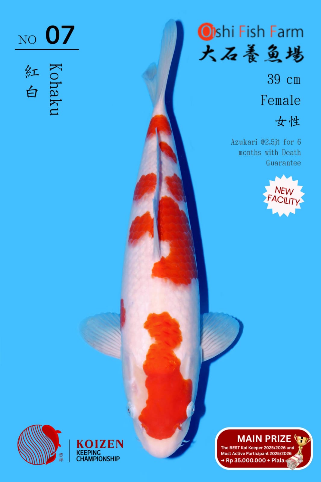 Lelang Koi Online, Jual Beli Ikan Koi, Pusat Jual Beli Koi, Info Lelang Koi Hari Ini, Platform Jual Beli Koi, Jual Beli Ikan Koi Online, Marketplace Ikan Koi, Jual Koi Terbaik, Tempat Beli Koi Berkualitas, Pasar Ikan Koi Online Terpercaya, Penjual Ikan Koi Terpercaya, Beli Koi Hias Online, Ikan Koi untuk Dijual, Koi Kualitas Terbaik, Toko Online Ikan Koi, Koi Hias Untuk Dijual, Jual Beli Ikan Koi Lokal, Koi Indonesia Online, Pusat Jual Beli Koi Terbesar