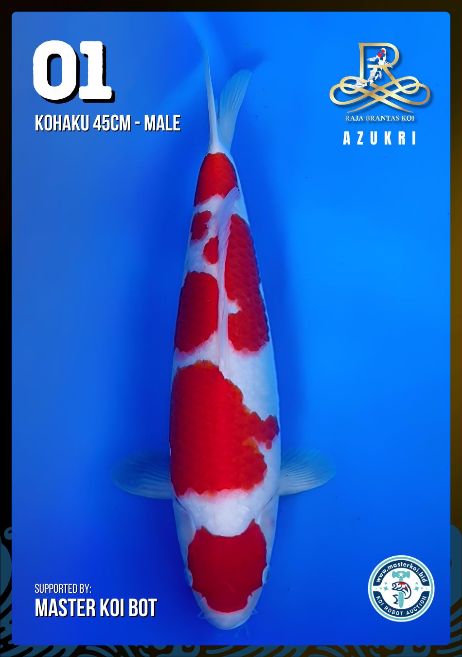 Lelang Koi Online, Jual Beli Ikan Koi, Pusat Jual Beli Koi, Info Lelang Koi Hari Ini, Platform Jual Beli Koi, Jual Beli Ikan Koi Online, Marketplace Ikan Koi, Jual Koi Terbaik, Tempat Beli Koi Berkualitas, Pasar Ikan Koi Online Terpercaya, Penjual Ikan Koi Terpercaya, Beli Koi Hias Online, Ikan Koi untuk Dijual, Koi Kualitas Terbaik, Toko Online Ikan Koi, Koi Hias Untuk Dijual, Jual Beli Ikan Koi Lokal, Koi Indonesia Online, Pusat Jual Beli Koi Terbesar