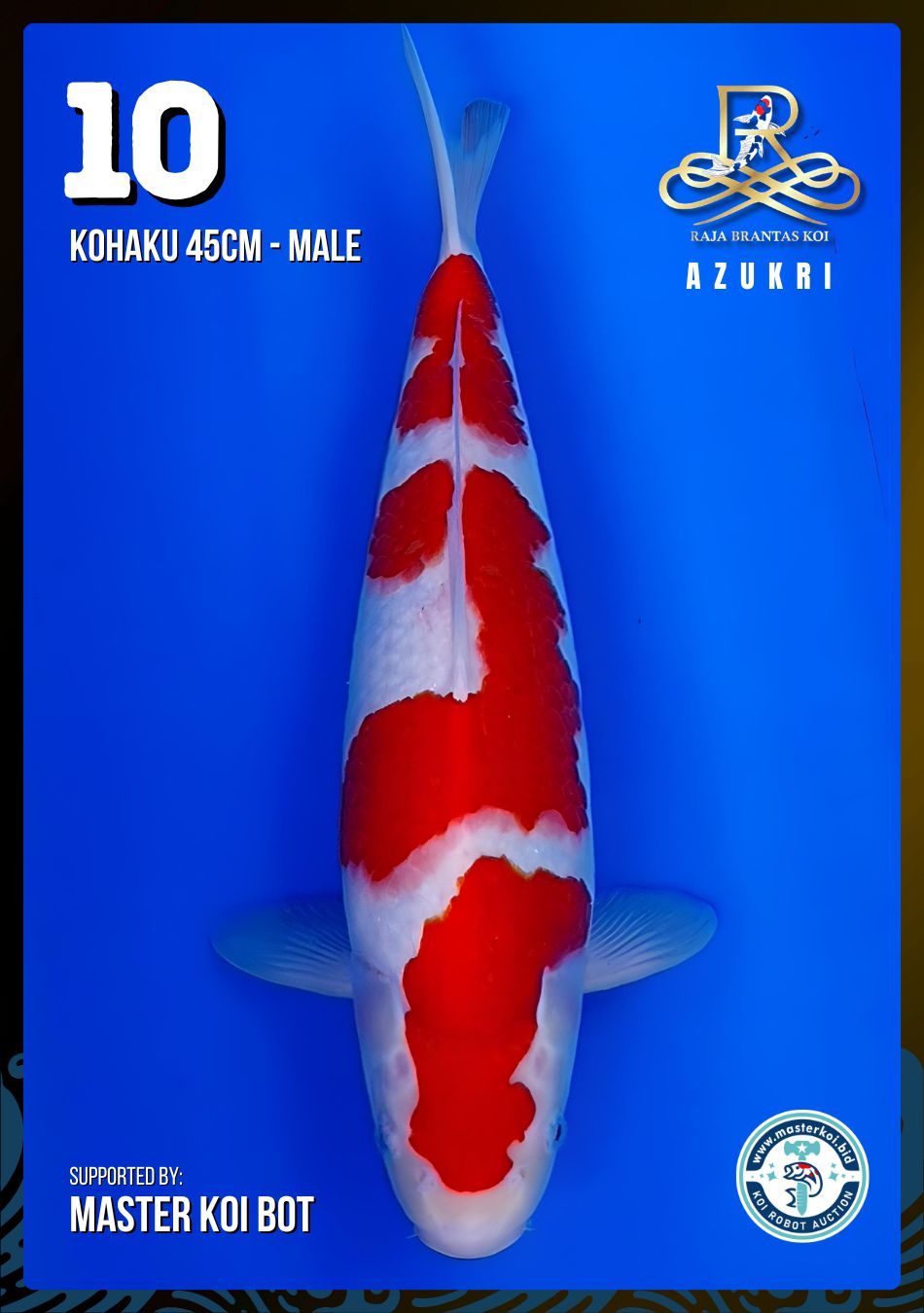 Lelang Koi Online, Jual Beli Ikan Koi, Pusat Jual Beli Koi, Info Lelang Koi Hari Ini, Platform Jual Beli Koi, Jual Beli Ikan Koi Online, Marketplace Ikan Koi, Jual Koi Terbaik, Tempat Beli Koi Berkualitas, Pasar Ikan Koi Online Terpercaya, Penjual Ikan Koi Terpercaya, Beli Koi Hias Online, Ikan Koi untuk Dijual, Koi Kualitas Terbaik, Toko Online Ikan Koi, Koi Hias Untuk Dijual, Jual Beli Ikan Koi Lokal, Koi Indonesia Online, Pusat Jual Beli Koi Terbesar
