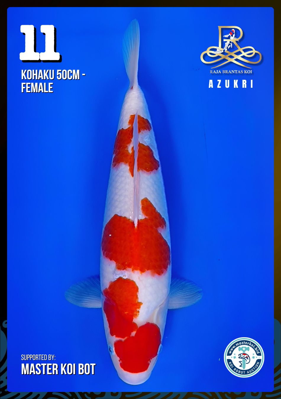 Lelang Koi Online, Jual Beli Ikan Koi, Pusat Jual Beli Koi, Info Lelang Koi Hari Ini, Platform Jual Beli Koi, Jual Beli Ikan Koi Online, Marketplace Ikan Koi, Jual Koi Terbaik, Tempat Beli Koi Berkualitas, Pasar Ikan Koi Online Terpercaya, Penjual Ikan Koi Terpercaya, Beli Koi Hias Online, Ikan Koi untuk Dijual, Koi Kualitas Terbaik, Toko Online Ikan Koi, Koi Hias Untuk Dijual, Jual Beli Ikan Koi Lokal, Koi Indonesia Online, Pusat Jual Beli Koi Terbesar