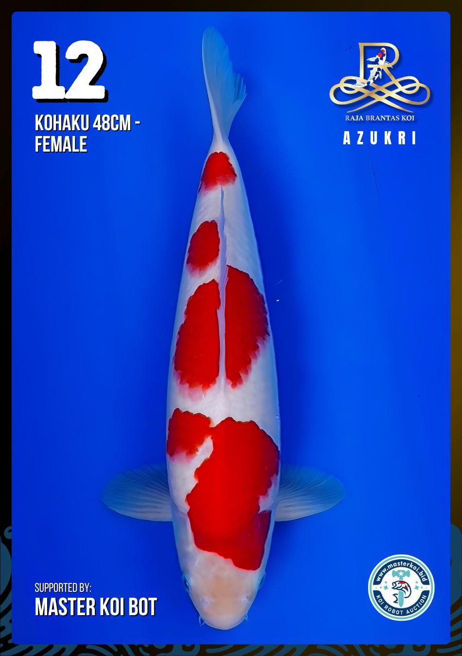 Lelang Koi Online, Jual Beli Ikan Koi, Pusat Jual Beli Koi, Info Lelang Koi Hari Ini, Platform Jual Beli Koi, Jual Beli Ikan Koi Online, Marketplace Ikan Koi, Jual Koi Terbaik, Tempat Beli Koi Berkualitas, Pasar Ikan Koi Online Terpercaya, Penjual Ikan Koi Terpercaya, Beli Koi Hias Online, Ikan Koi untuk Dijual, Koi Kualitas Terbaik, Toko Online Ikan Koi, Koi Hias Untuk Dijual, Jual Beli Ikan Koi Lokal, Koi Indonesia Online, Pusat Jual Beli Koi Terbesar