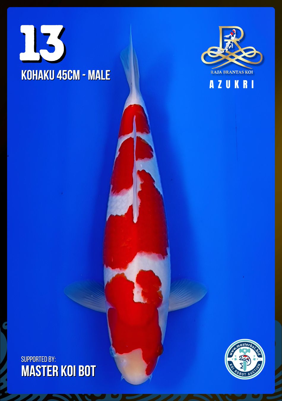 Lelang Koi Online, Jual Beli Ikan Koi, Pusat Jual Beli Koi, Info Lelang Koi Hari Ini, Platform Jual Beli Koi, Jual Beli Ikan Koi Online, Marketplace Ikan Koi, Jual Koi Terbaik, Tempat Beli Koi Berkualitas, Pasar Ikan Koi Online Terpercaya, Penjual Ikan Koi Terpercaya, Beli Koi Hias Online, Ikan Koi untuk Dijual, Koi Kualitas Terbaik, Toko Online Ikan Koi, Koi Hias Untuk Dijual, Jual Beli Ikan Koi Lokal, Koi Indonesia Online, Pusat Jual Beli Koi Terbesar