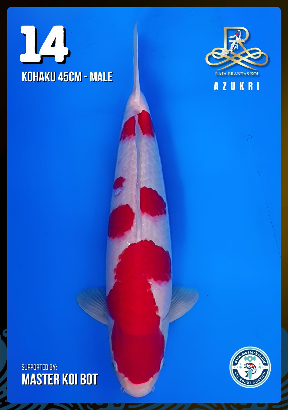 Lelang Koi Online, Jual Beli Ikan Koi, Pusat Jual Beli Koi, Info Lelang Koi Hari Ini, Platform Jual Beli Koi, Jual Beli Ikan Koi Online, Marketplace Ikan Koi, Jual Koi Terbaik, Tempat Beli Koi Berkualitas, Pasar Ikan Koi Online Terpercaya, Penjual Ikan Koi Terpercaya, Beli Koi Hias Online, Ikan Koi untuk Dijual, Koi Kualitas Terbaik, Toko Online Ikan Koi, Koi Hias Untuk Dijual, Jual Beli Ikan Koi Lokal, Koi Indonesia Online, Pusat Jual Beli Koi Terbesar