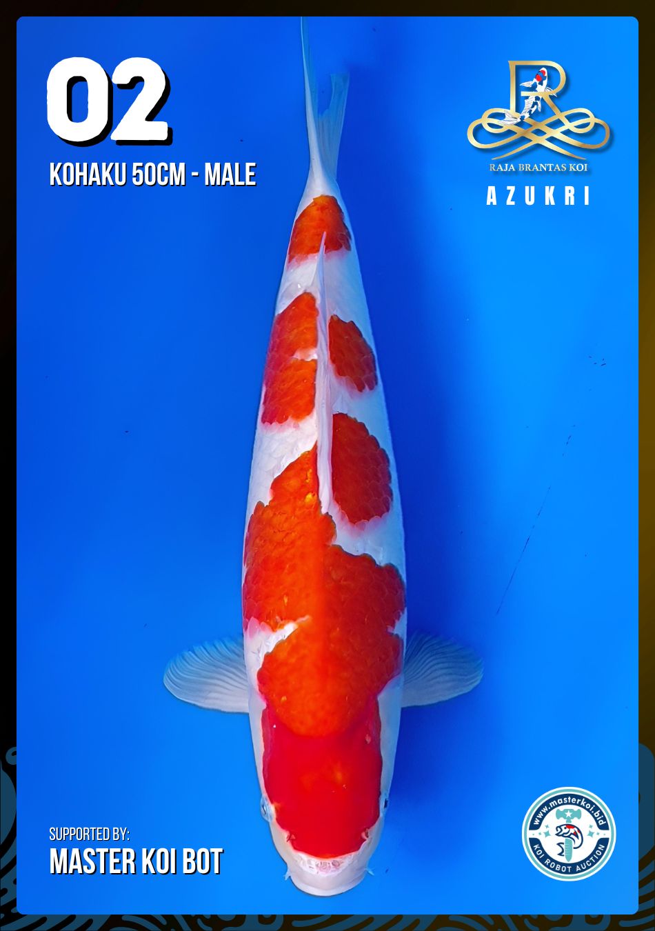 Lelang Koi Online, Jual Beli Ikan Koi, Pusat Jual Beli Koi, Info Lelang Koi Hari Ini, Platform Jual Beli Koi, Jual Beli Ikan Koi Online, Marketplace Ikan Koi, Jual Koi Terbaik, Tempat Beli Koi Berkualitas, Pasar Ikan Koi Online Terpercaya, Penjual Ikan Koi Terpercaya, Beli Koi Hias Online, Ikan Koi untuk Dijual, Koi Kualitas Terbaik, Toko Online Ikan Koi, Koi Hias Untuk Dijual, Jual Beli Ikan Koi Lokal, Koi Indonesia Online, Pusat Jual Beli Koi Terbesar