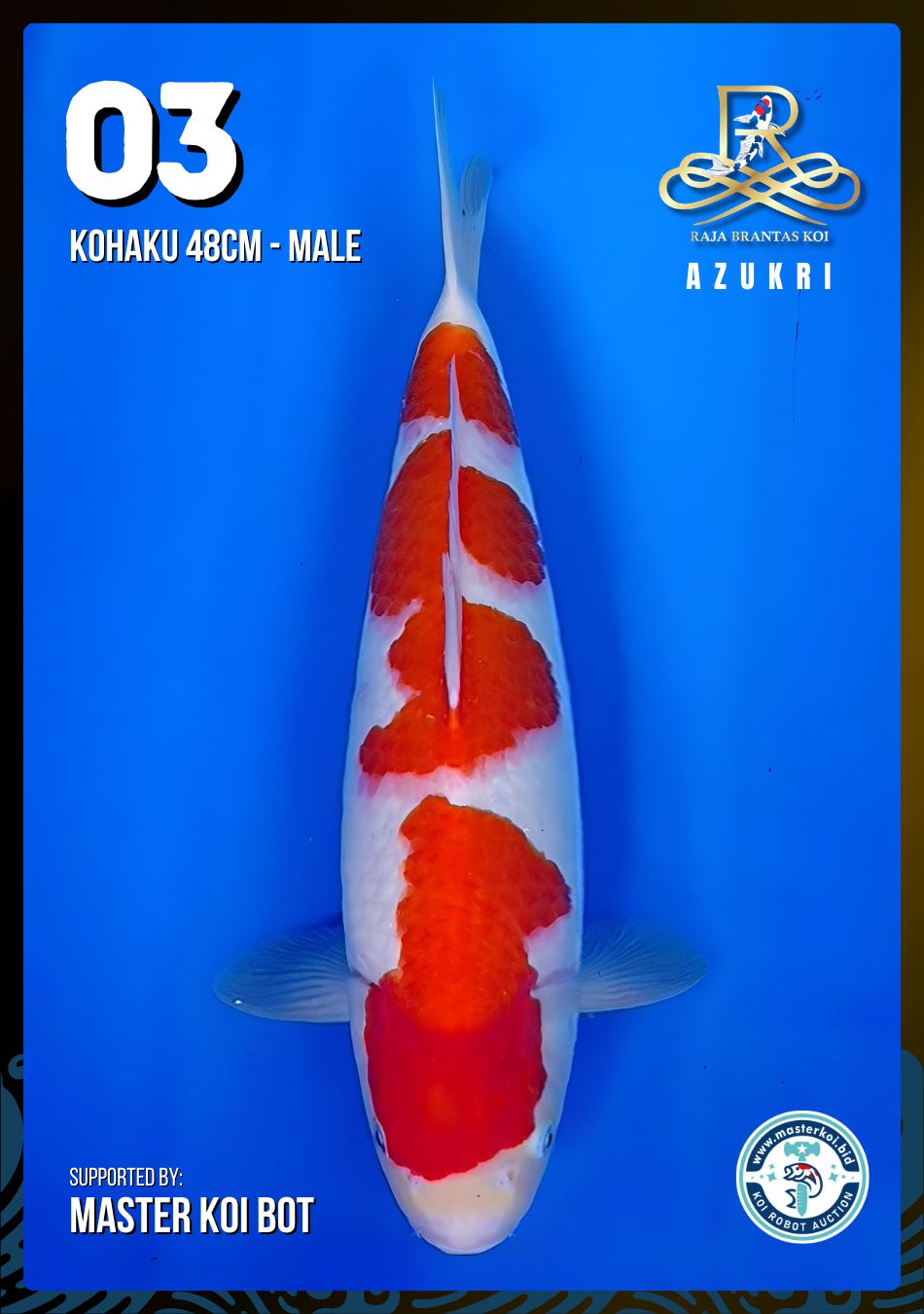 Lelang Koi Online, Jual Beli Ikan Koi, Pusat Jual Beli Koi, Info Lelang Koi Hari Ini, Platform Jual Beli Koi, Jual Beli Ikan Koi Online, Marketplace Ikan Koi, Jual Koi Terbaik, Tempat Beli Koi Berkualitas, Pasar Ikan Koi Online Terpercaya, Penjual Ikan Koi Terpercaya, Beli Koi Hias Online, Ikan Koi untuk Dijual, Koi Kualitas Terbaik, Toko Online Ikan Koi, Koi Hias Untuk Dijual, Jual Beli Ikan Koi Lokal, Koi Indonesia Online, Pusat Jual Beli Koi Terbesar