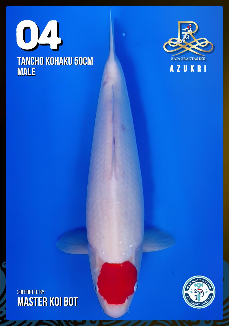 Lelang Koi Online, Jual Beli Ikan Koi, Pusat Jual Beli Koi, Info Lelang Koi Hari Ini, Platform Jual Beli Koi, Jual Beli Ikan Koi Online, Marketplace Ikan Koi, Jual Koi Terbaik, Tempat Beli Koi Berkualitas, Pasar Ikan Koi Online Terpercaya, Penjual Ikan Koi Terpercaya, Beli Koi Hias Online, Ikan Koi untuk Dijual, Koi Kualitas Terbaik, Toko Online Ikan Koi, Koi Hias Untuk Dijual, Jual Beli Ikan Koi Lokal, Koi Indonesia Online, Pusat Jual Beli Koi Terbesar
