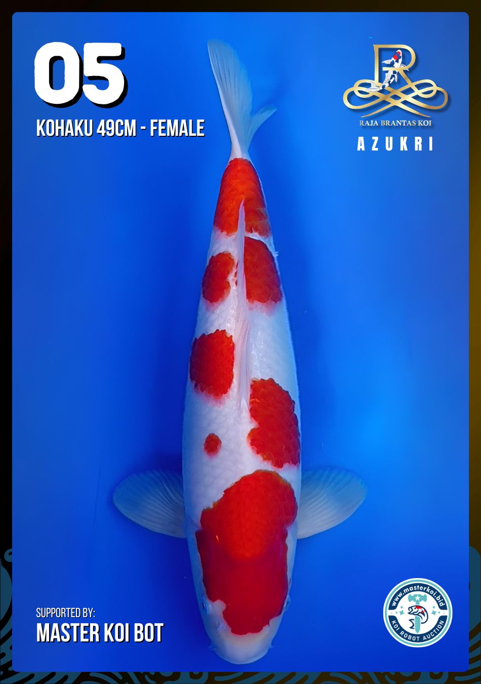 Lelang Koi Online, Jual Beli Ikan Koi, Pusat Jual Beli Koi, Info Lelang Koi Hari Ini, Platform Jual Beli Koi, Jual Beli Ikan Koi Online, Marketplace Ikan Koi, Jual Koi Terbaik, Tempat Beli Koi Berkualitas, Pasar Ikan Koi Online Terpercaya, Penjual Ikan Koi Terpercaya, Beli Koi Hias Online, Ikan Koi untuk Dijual, Koi Kualitas Terbaik, Toko Online Ikan Koi, Koi Hias Untuk Dijual, Jual Beli Ikan Koi Lokal, Koi Indonesia Online, Pusat Jual Beli Koi Terbesar