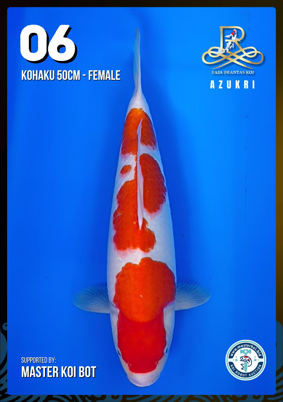 Lelang Koi Online, Jual Beli Ikan Koi, Pusat Jual Beli Koi, Info Lelang Koi Hari Ini, Platform Jual Beli Koi, Jual Beli Ikan Koi Online, Marketplace Ikan Koi, Jual Koi Terbaik, Tempat Beli Koi Berkualitas, Pasar Ikan Koi Online Terpercaya, Penjual Ikan Koi Terpercaya, Beli Koi Hias Online, Ikan Koi untuk Dijual, Koi Kualitas Terbaik, Toko Online Ikan Koi, Koi Hias Untuk Dijual, Jual Beli Ikan Koi Lokal, Koi Indonesia Online, Pusat Jual Beli Koi Terbesar