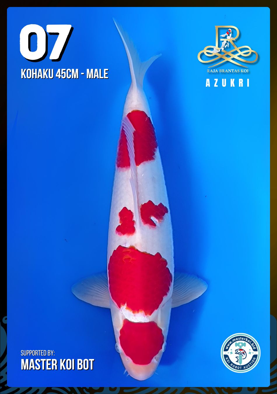 Lelang Koi Online, Jual Beli Ikan Koi, Pusat Jual Beli Koi, Info Lelang Koi Hari Ini, Platform Jual Beli Koi, Jual Beli Ikan Koi Online, Marketplace Ikan Koi, Jual Koi Terbaik, Tempat Beli Koi Berkualitas, Pasar Ikan Koi Online Terpercaya, Penjual Ikan Koi Terpercaya, Beli Koi Hias Online, Ikan Koi untuk Dijual, Koi Kualitas Terbaik, Toko Online Ikan Koi, Koi Hias Untuk Dijual, Jual Beli Ikan Koi Lokal, Koi Indonesia Online, Pusat Jual Beli Koi Terbesar