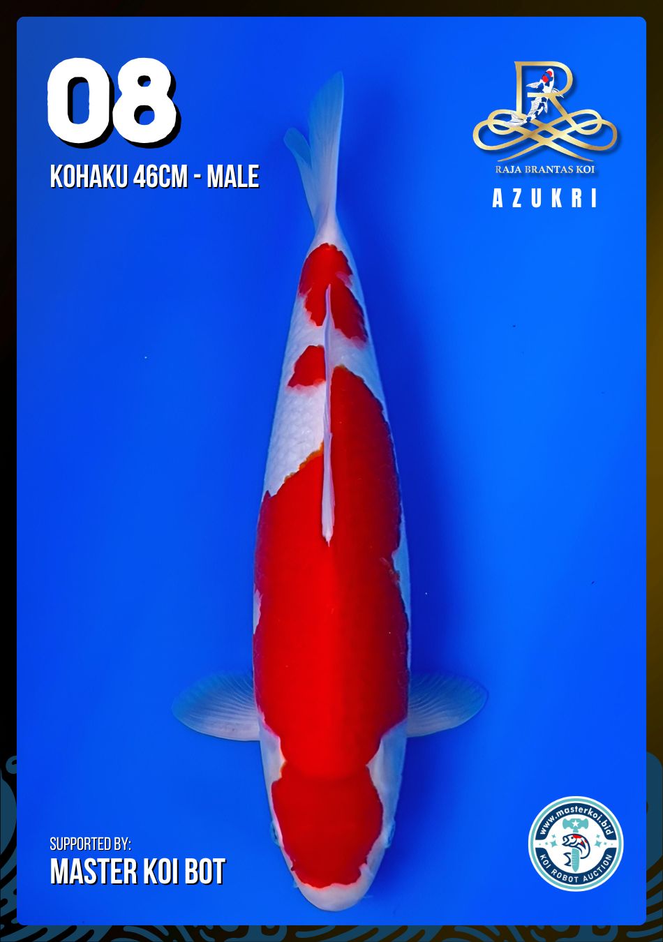 Lelang Koi Online, Jual Beli Ikan Koi, Pusat Jual Beli Koi, Info Lelang Koi Hari Ini, Platform Jual Beli Koi, Jual Beli Ikan Koi Online, Marketplace Ikan Koi, Jual Koi Terbaik, Tempat Beli Koi Berkualitas, Pasar Ikan Koi Online Terpercaya, Penjual Ikan Koi Terpercaya, Beli Koi Hias Online, Ikan Koi untuk Dijual, Koi Kualitas Terbaik, Toko Online Ikan Koi, Koi Hias Untuk Dijual, Jual Beli Ikan Koi Lokal, Koi Indonesia Online, Pusat Jual Beli Koi Terbesar