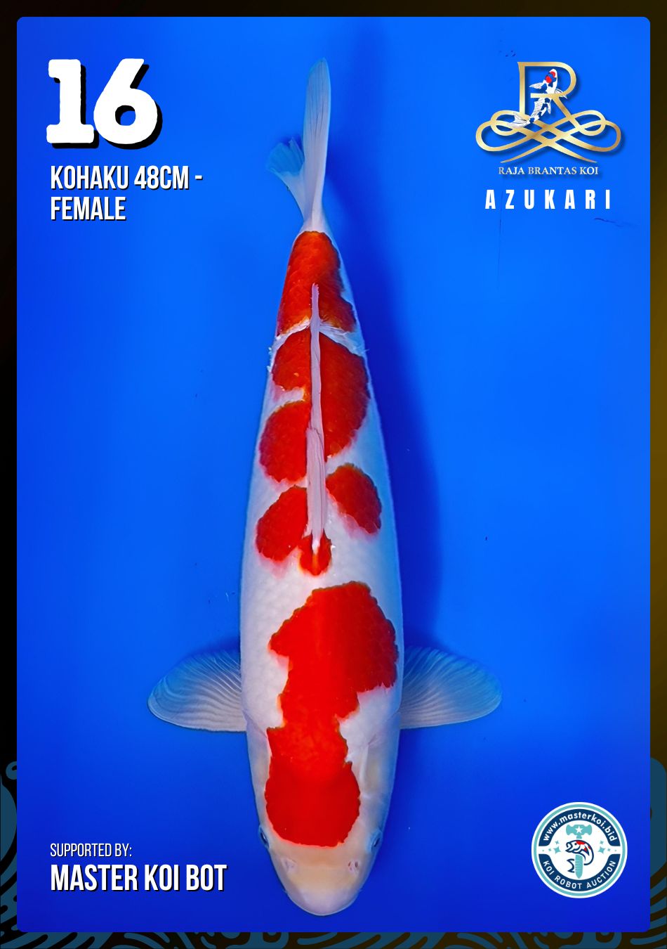 Lelang Koi Online, Jual Beli Ikan Koi, Pusat Jual Beli Koi, Info Lelang Koi Hari Ini, Platform Jual Beli Koi, Jual Beli Ikan Koi Online, Marketplace Ikan Koi, Jual Koi Terbaik, Tempat Beli Koi Berkualitas, Pasar Ikan Koi Online Terpercaya, Penjual Ikan Koi Terpercaya, Beli Koi Hias Online, Ikan Koi untuk Dijual, Koi Kualitas Terbaik, Toko Online Ikan Koi, Koi Hias Untuk Dijual, Jual Beli Ikan Koi Lokal, Koi Indonesia Online, Pusat Jual Beli Koi Terbesar
