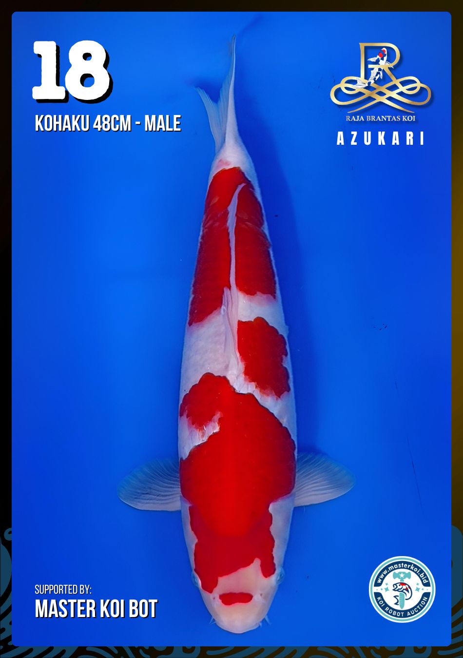 Lelang Koi Online, Jual Beli Ikan Koi, Pusat Jual Beli Koi, Info Lelang Koi Hari Ini, Platform Jual Beli Koi, Jual Beli Ikan Koi Online, Marketplace Ikan Koi, Jual Koi Terbaik, Tempat Beli Koi Berkualitas, Pasar Ikan Koi Online Terpercaya, Penjual Ikan Koi Terpercaya, Beli Koi Hias Online, Ikan Koi untuk Dijual, Koi Kualitas Terbaik, Toko Online Ikan Koi, Koi Hias Untuk Dijual, Jual Beli Ikan Koi Lokal, Koi Indonesia Online, Pusat Jual Beli Koi Terbesar