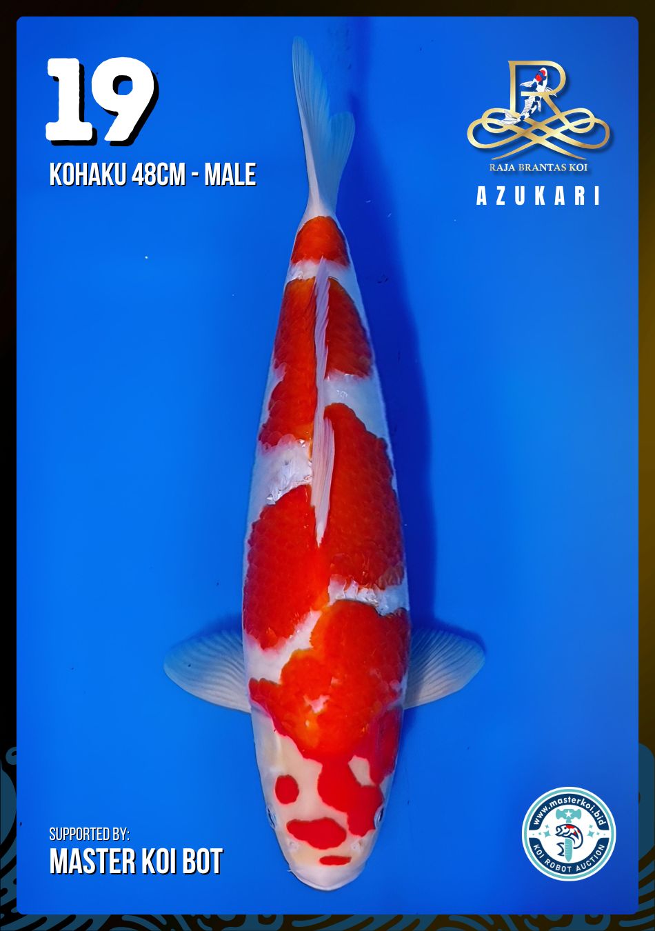 Lelang Koi Online, Jual Beli Ikan Koi, Pusat Jual Beli Koi, Info Lelang Koi Hari Ini, Platform Jual Beli Koi, Jual Beli Ikan Koi Online, Marketplace Ikan Koi, Jual Koi Terbaik, Tempat Beli Koi Berkualitas, Pasar Ikan Koi Online Terpercaya, Penjual Ikan Koi Terpercaya, Beli Koi Hias Online, Ikan Koi untuk Dijual, Koi Kualitas Terbaik, Toko Online Ikan Koi, Koi Hias Untuk Dijual, Jual Beli Ikan Koi Lokal, Koi Indonesia Online, Pusat Jual Beli Koi Terbesar