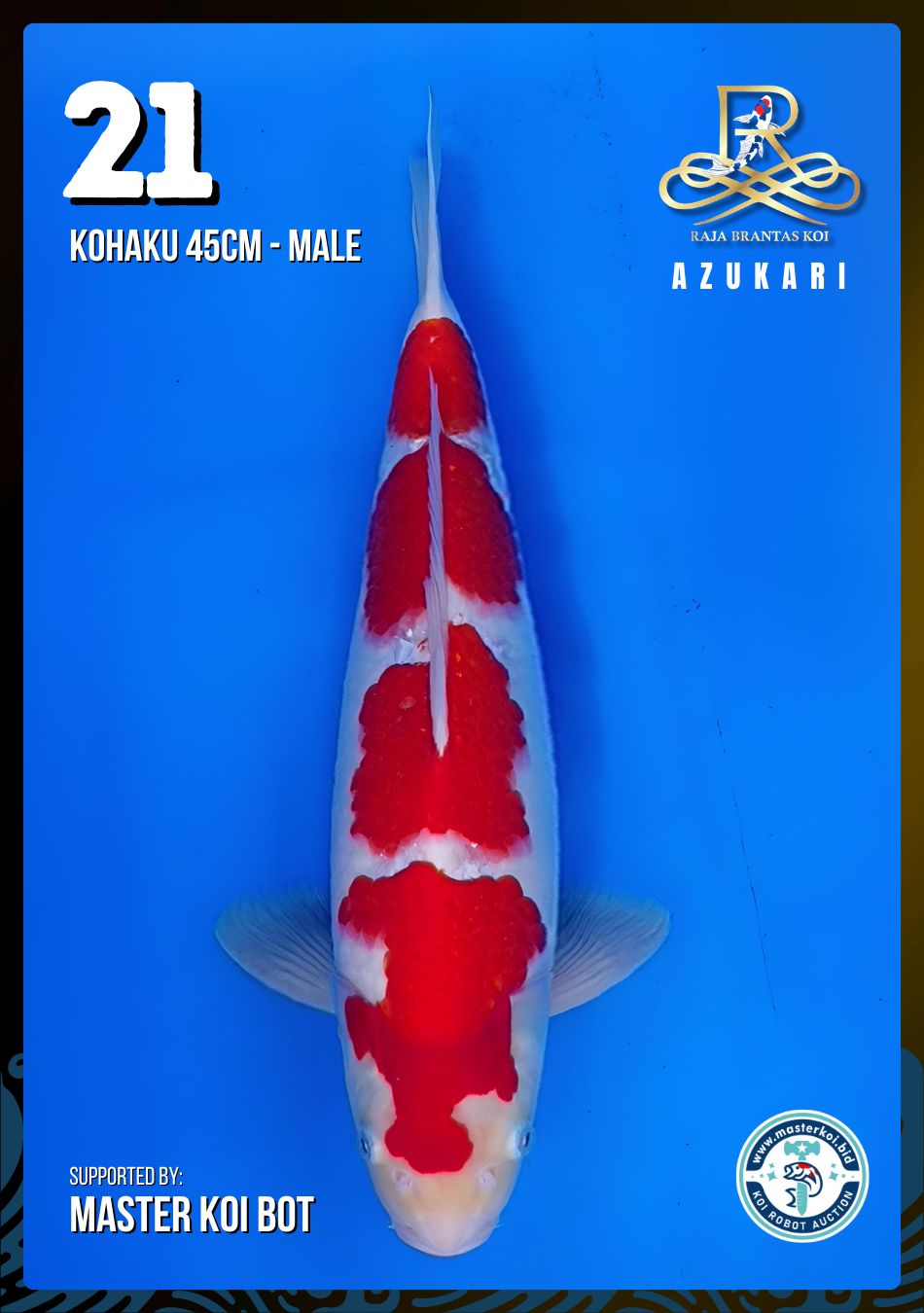 Lelang Koi Online, Jual Beli Ikan Koi, Pusat Jual Beli Koi, Info Lelang Koi Hari Ini, Platform Jual Beli Koi, Jual Beli Ikan Koi Online, Marketplace Ikan Koi, Jual Koi Terbaik, Tempat Beli Koi Berkualitas, Pasar Ikan Koi Online Terpercaya, Penjual Ikan Koi Terpercaya, Beli Koi Hias Online, Ikan Koi untuk Dijual, Koi Kualitas Terbaik, Toko Online Ikan Koi, Koi Hias Untuk Dijual, Jual Beli Ikan Koi Lokal, Koi Indonesia Online, Pusat Jual Beli Koi Terbesar