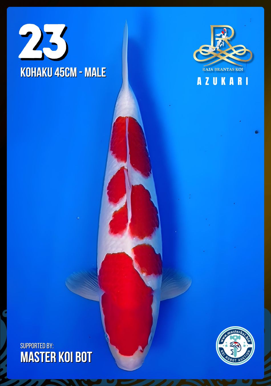 Lelang Koi Online, Jual Beli Ikan Koi, Pusat Jual Beli Koi, Info Lelang Koi Hari Ini, Platform Jual Beli Koi, Jual Beli Ikan Koi Online, Marketplace Ikan Koi, Jual Koi Terbaik, Tempat Beli Koi Berkualitas, Pasar Ikan Koi Online Terpercaya, Penjual Ikan Koi Terpercaya, Beli Koi Hias Online, Ikan Koi untuk Dijual, Koi Kualitas Terbaik, Toko Online Ikan Koi, Koi Hias Untuk Dijual, Jual Beli Ikan Koi Lokal, Koi Indonesia Online, Pusat Jual Beli Koi Terbesar