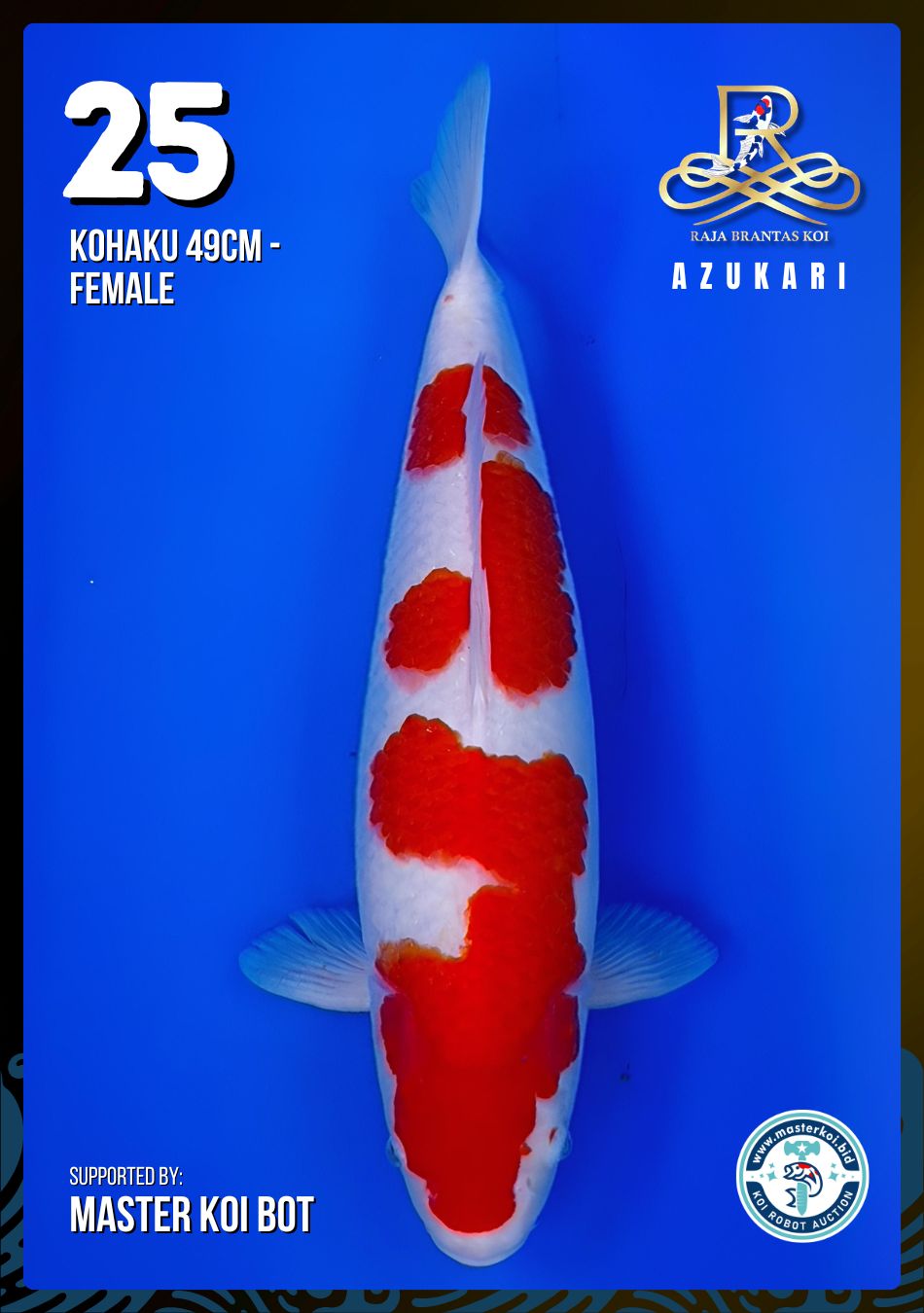 Lelang Koi Online, Jual Beli Ikan Koi, Pusat Jual Beli Koi, Info Lelang Koi Hari Ini, Platform Jual Beli Koi, Jual Beli Ikan Koi Online, Marketplace Ikan Koi, Jual Koi Terbaik, Tempat Beli Koi Berkualitas, Pasar Ikan Koi Online Terpercaya, Penjual Ikan Koi Terpercaya, Beli Koi Hias Online, Ikan Koi untuk Dijual, Koi Kualitas Terbaik, Toko Online Ikan Koi, Koi Hias Untuk Dijual, Jual Beli Ikan Koi Lokal, Koi Indonesia Online, Pusat Jual Beli Koi Terbesar