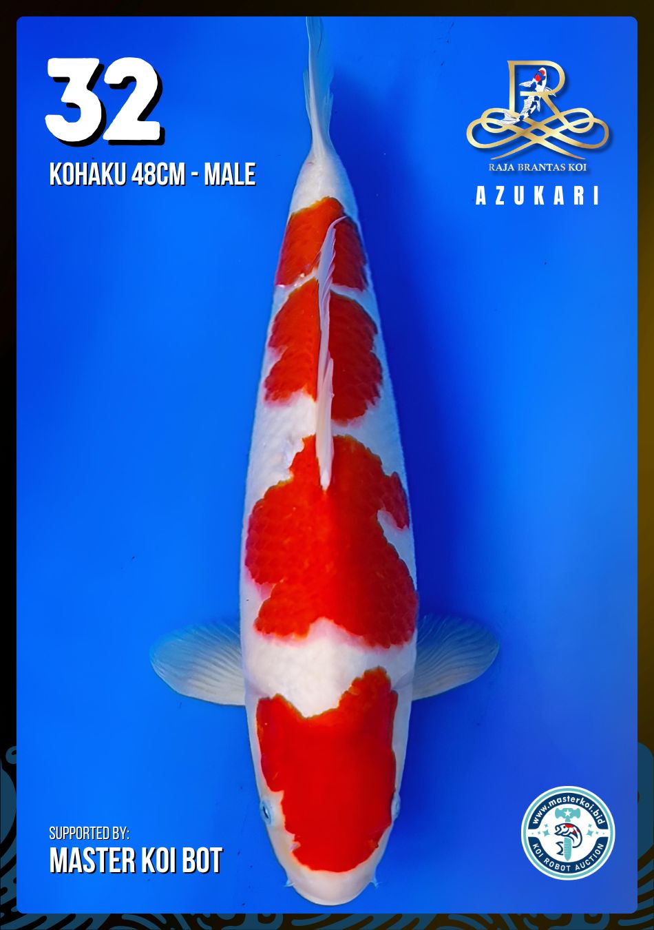 Lelang Koi Online, Jual Beli Ikan Koi, Pusat Jual Beli Koi, Info Lelang Koi Hari Ini, Platform Jual Beli Koi, Jual Beli Ikan Koi Online, Marketplace Ikan Koi, Jual Koi Terbaik, Tempat Beli Koi Berkualitas, Pasar Ikan Koi Online Terpercaya, Penjual Ikan Koi Terpercaya, Beli Koi Hias Online, Ikan Koi untuk Dijual, Koi Kualitas Terbaik, Toko Online Ikan Koi, Koi Hias Untuk Dijual, Jual Beli Ikan Koi Lokal, Koi Indonesia Online, Pusat Jual Beli Koi Terbesar