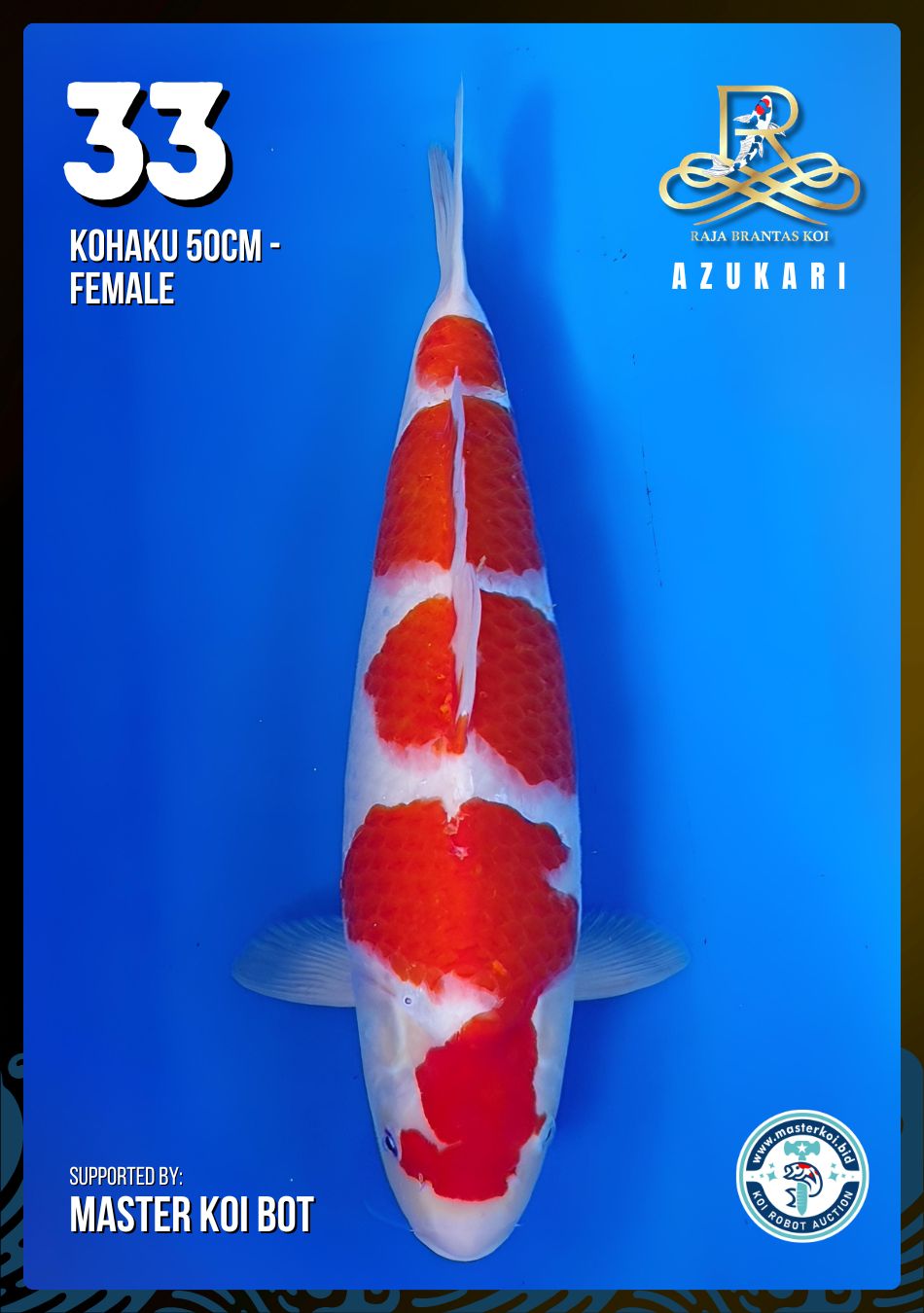 Lelang Koi Online, Jual Beli Ikan Koi, Pusat Jual Beli Koi, Info Lelang Koi Hari Ini, Platform Jual Beli Koi, Jual Beli Ikan Koi Online, Marketplace Ikan Koi, Jual Koi Terbaik, Tempat Beli Koi Berkualitas, Pasar Ikan Koi Online Terpercaya, Penjual Ikan Koi Terpercaya, Beli Koi Hias Online, Ikan Koi untuk Dijual, Koi Kualitas Terbaik, Toko Online Ikan Koi, Koi Hias Untuk Dijual, Jual Beli Ikan Koi Lokal, Koi Indonesia Online, Pusat Jual Beli Koi Terbesar