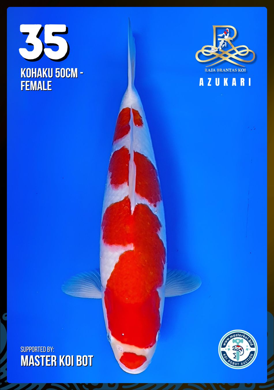 Lelang Koi Online, Jual Beli Ikan Koi, Pusat Jual Beli Koi, Info Lelang Koi Hari Ini, Platform Jual Beli Koi, Jual Beli Ikan Koi Online, Marketplace Ikan Koi, Jual Koi Terbaik, Tempat Beli Koi Berkualitas, Pasar Ikan Koi Online Terpercaya, Penjual Ikan Koi Terpercaya, Beli Koi Hias Online, Ikan Koi untuk Dijual, Koi Kualitas Terbaik, Toko Online Ikan Koi, Koi Hias Untuk Dijual, Jual Beli Ikan Koi Lokal, Koi Indonesia Online, Pusat Jual Beli Koi Terbesar