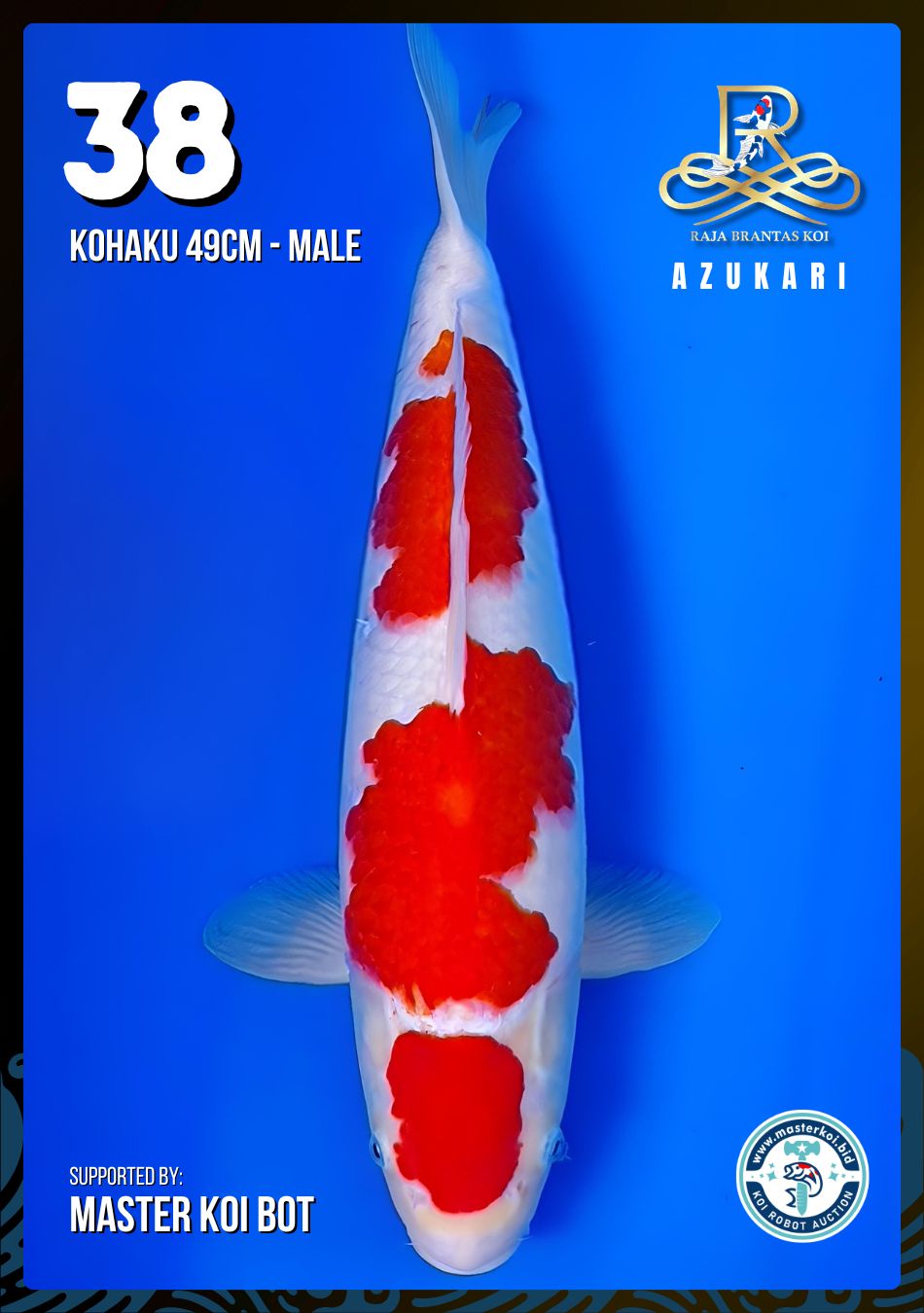Lelang Koi Online, Jual Beli Ikan Koi, Pusat Jual Beli Koi, Info Lelang Koi Hari Ini, Platform Jual Beli Koi, Jual Beli Ikan Koi Online, Marketplace Ikan Koi, Jual Koi Terbaik, Tempat Beli Koi Berkualitas, Pasar Ikan Koi Online Terpercaya, Penjual Ikan Koi Terpercaya, Beli Koi Hias Online, Ikan Koi untuk Dijual, Koi Kualitas Terbaik, Toko Online Ikan Koi, Koi Hias Untuk Dijual, Jual Beli Ikan Koi Lokal, Koi Indonesia Online, Pusat Jual Beli Koi Terbesar
