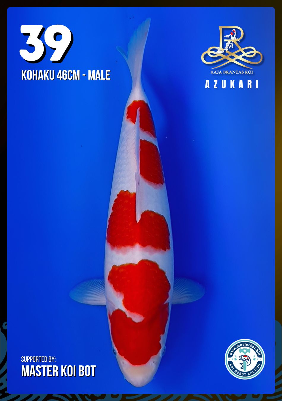 Lelang Koi Online, Jual Beli Ikan Koi, Pusat Jual Beli Koi, Info Lelang Koi Hari Ini, Platform Jual Beli Koi, Jual Beli Ikan Koi Online, Marketplace Ikan Koi, Jual Koi Terbaik, Tempat Beli Koi Berkualitas, Pasar Ikan Koi Online Terpercaya, Penjual Ikan Koi Terpercaya, Beli Koi Hias Online, Ikan Koi untuk Dijual, Koi Kualitas Terbaik, Toko Online Ikan Koi, Koi Hias Untuk Dijual, Jual Beli Ikan Koi Lokal, Koi Indonesia Online, Pusat Jual Beli Koi Terbesar