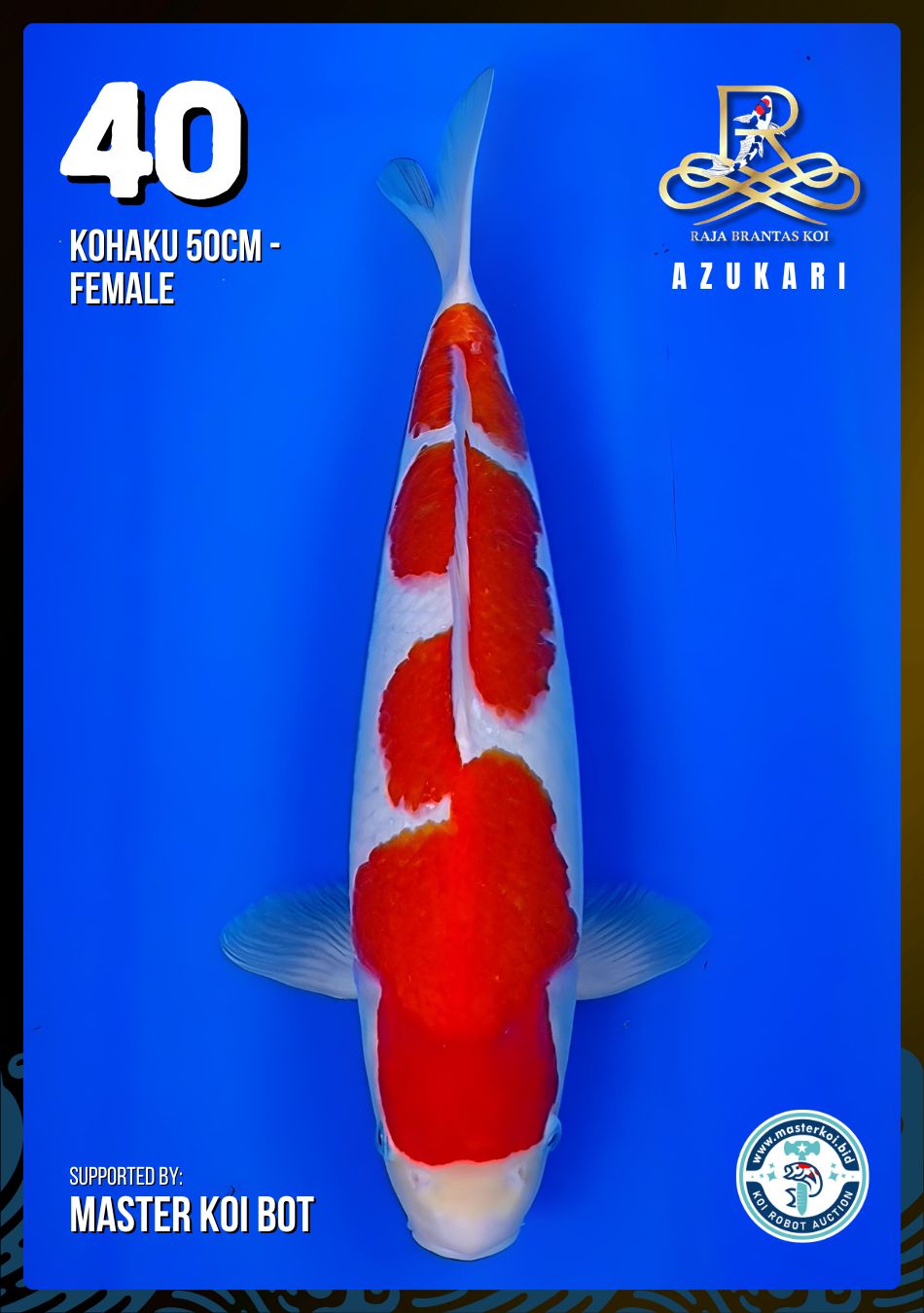 Lelang Koi Online, Jual Beli Ikan Koi, Pusat Jual Beli Koi, Info Lelang Koi Hari Ini, Platform Jual Beli Koi, Jual Beli Ikan Koi Online, Marketplace Ikan Koi, Jual Koi Terbaik, Tempat Beli Koi Berkualitas, Pasar Ikan Koi Online Terpercaya, Penjual Ikan Koi Terpercaya, Beli Koi Hias Online, Ikan Koi untuk Dijual, Koi Kualitas Terbaik, Toko Online Ikan Koi, Koi Hias Untuk Dijual, Jual Beli Ikan Koi Lokal, Koi Indonesia Online, Pusat Jual Beli Koi Terbesar