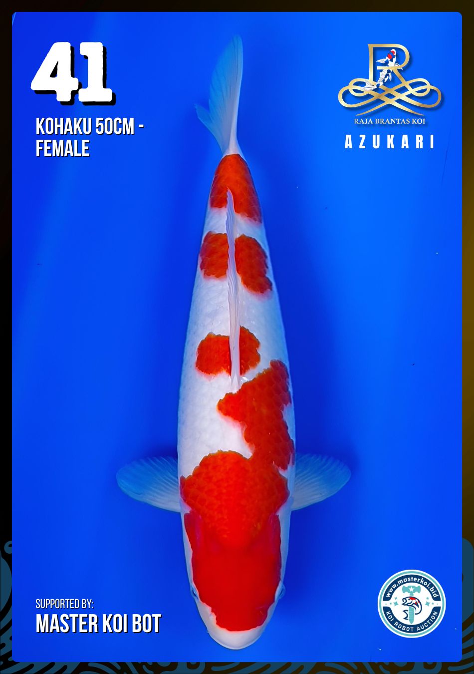 Lelang Koi Online, Jual Beli Ikan Koi, Pusat Jual Beli Koi, Info Lelang Koi Hari Ini, Platform Jual Beli Koi, Jual Beli Ikan Koi Online, Marketplace Ikan Koi, Jual Koi Terbaik, Tempat Beli Koi Berkualitas, Pasar Ikan Koi Online Terpercaya, Penjual Ikan Koi Terpercaya, Beli Koi Hias Online, Ikan Koi untuk Dijual, Koi Kualitas Terbaik, Toko Online Ikan Koi, Koi Hias Untuk Dijual, Jual Beli Ikan Koi Lokal, Koi Indonesia Online, Pusat Jual Beli Koi Terbesar